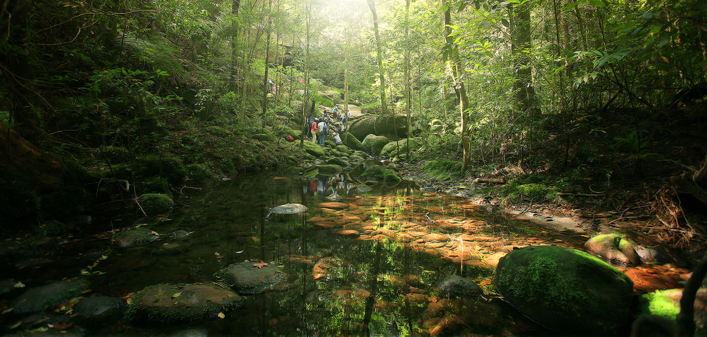 تايلاند - الصورة من موقع tourismthailand