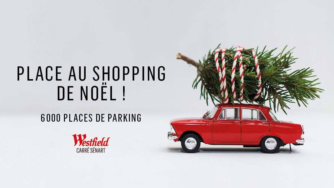 PLACE AU SHOPPING DE NOEL PLACE AU SHOPPING DE NOEL