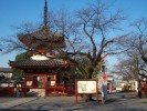 川越大師喜多院