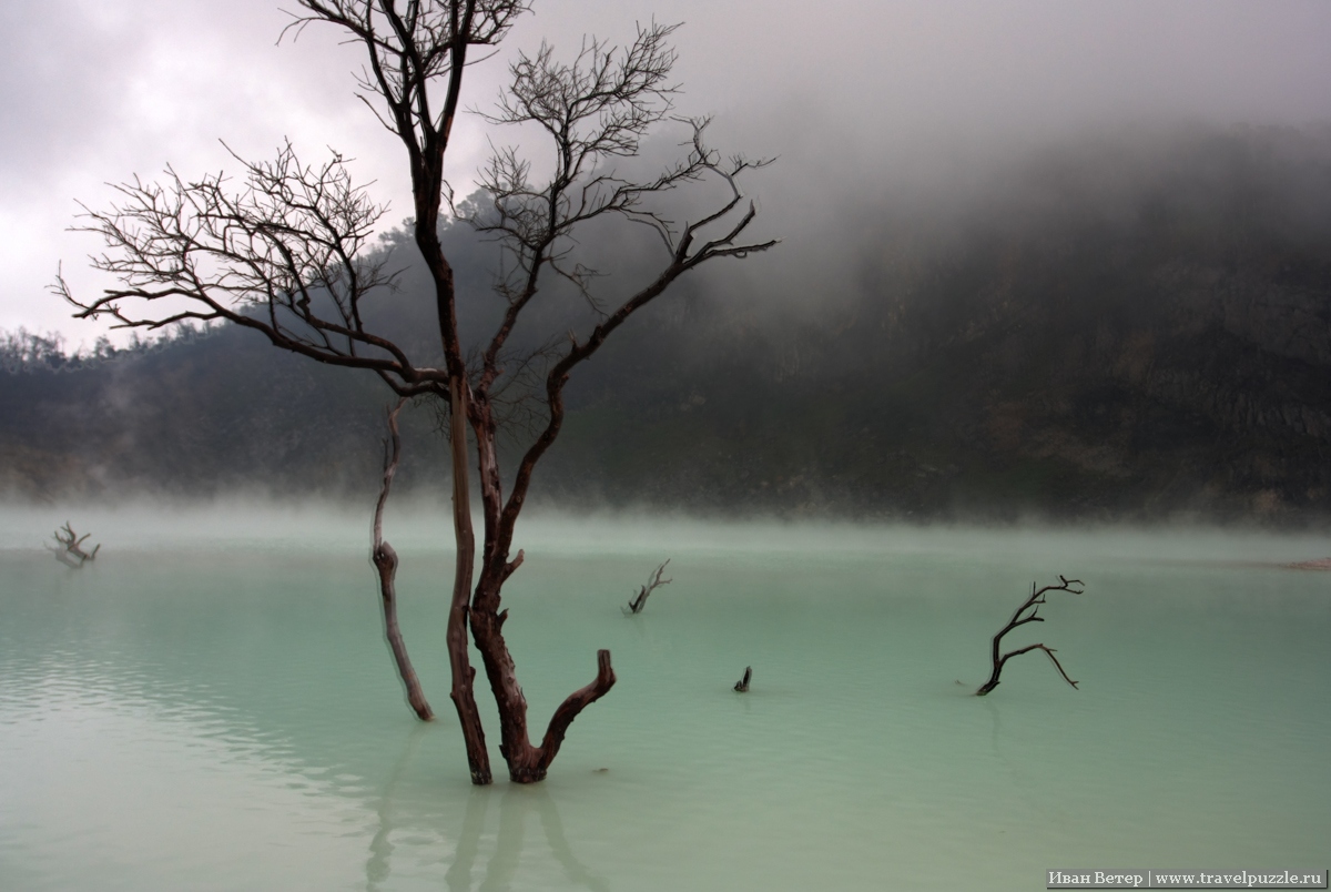 Дерево в озере на Kawah putih