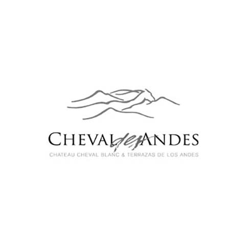 CHEVAL DES ANDES