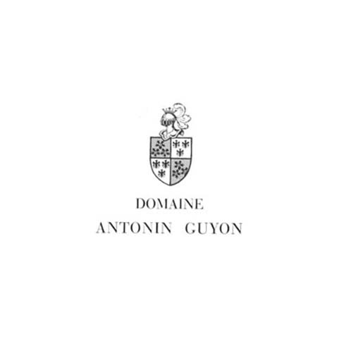 DOMAINE ANTONIN GUYON
