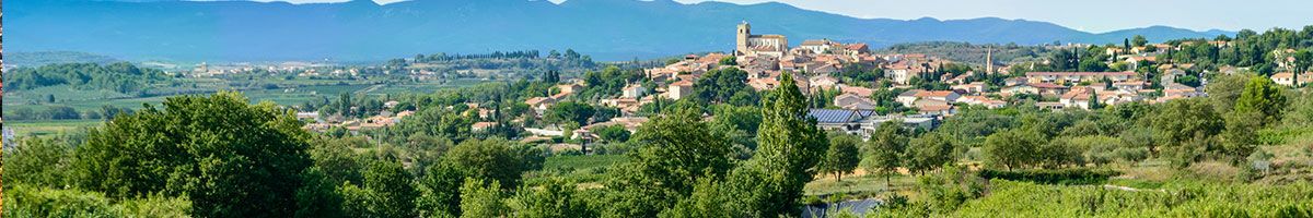 Vins rouges Languedoc Roussillon