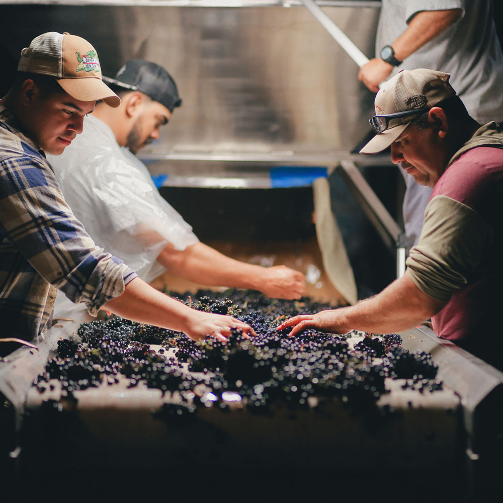 Sanford Sta. Rita Hills Chardonnay 2019 | Wine.com