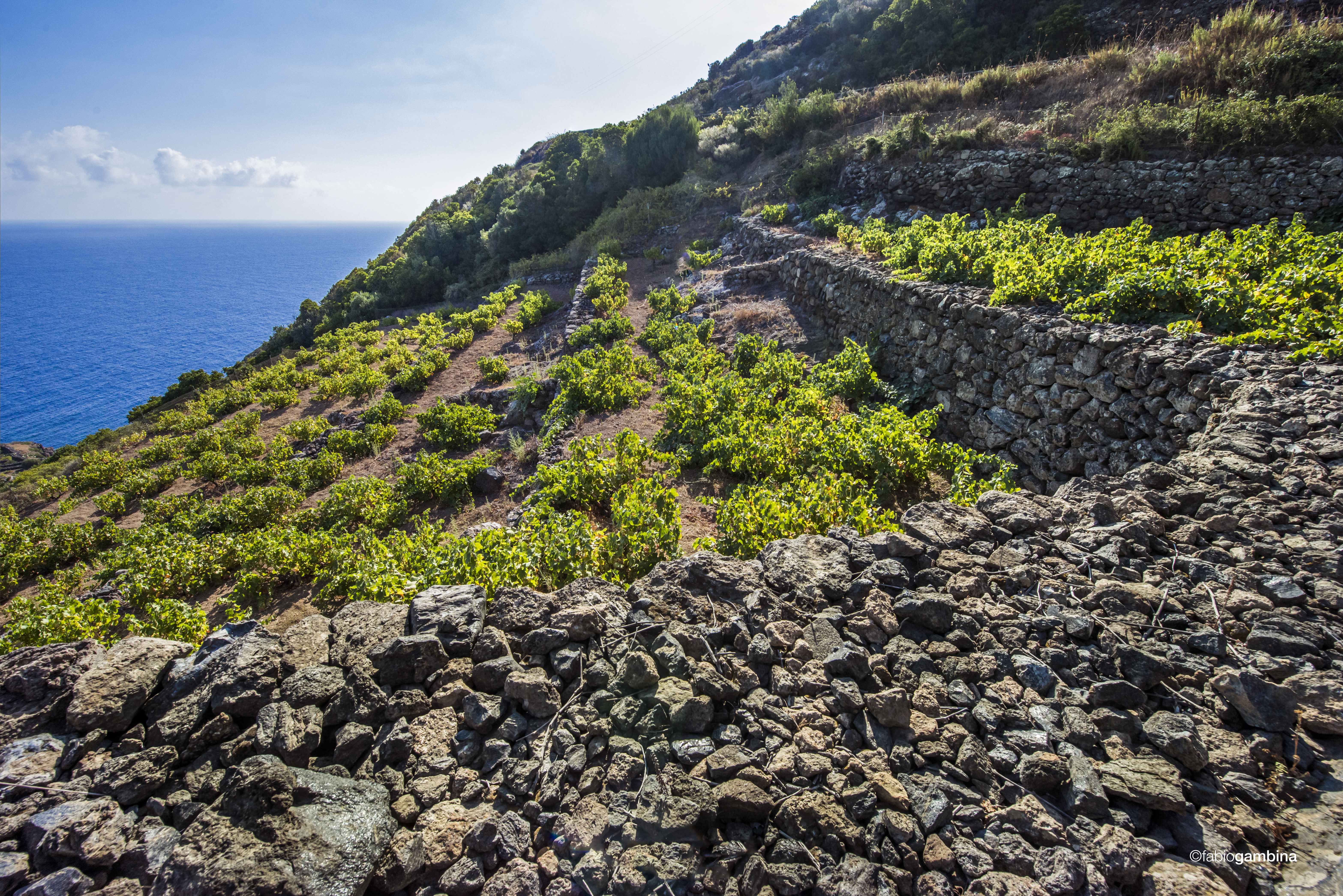 aaeuafruiuzb2cabvkpc