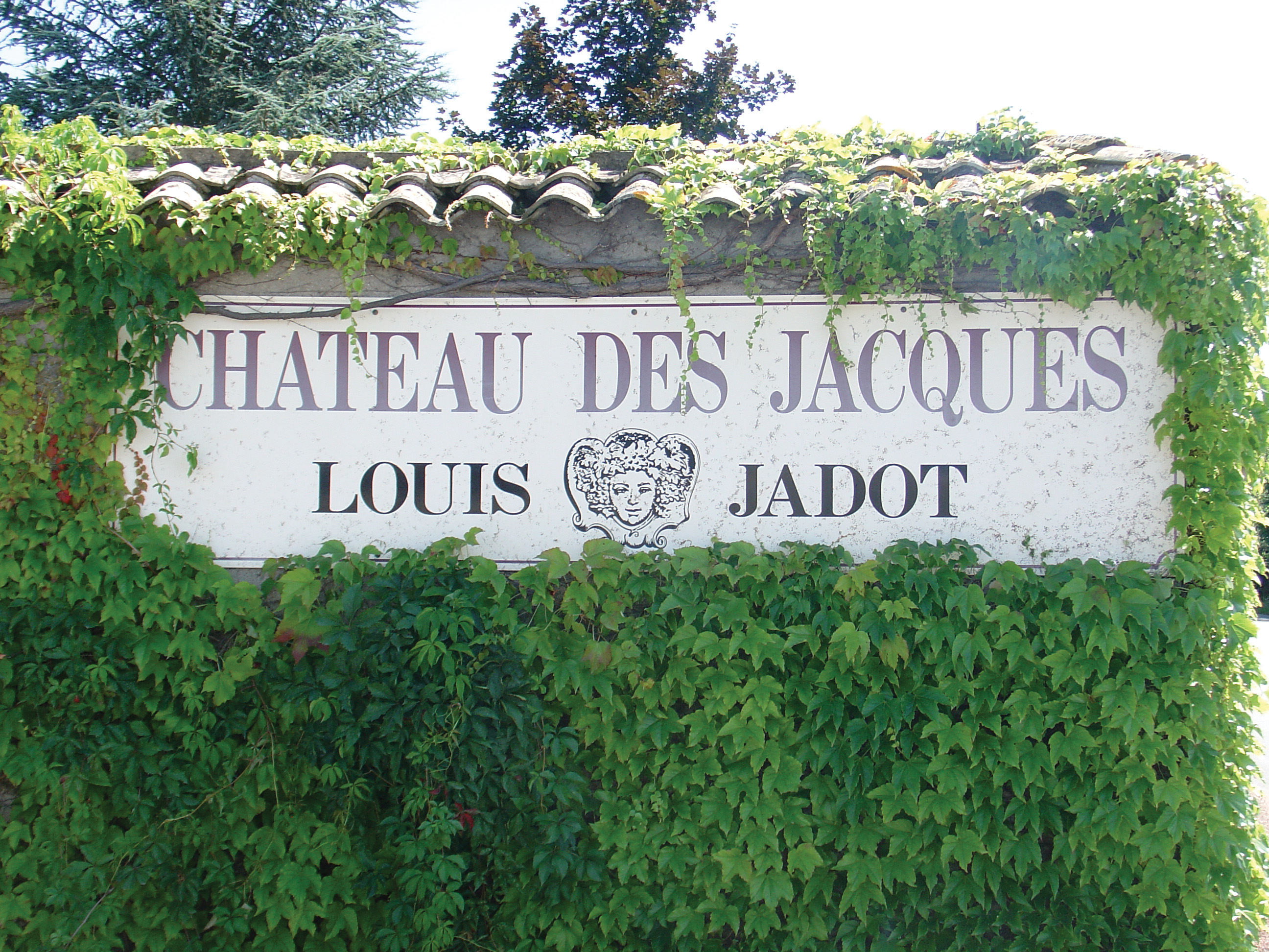 Morgon Côte du Py Château des Jacques Louis Jadot 2013, Beaujolais