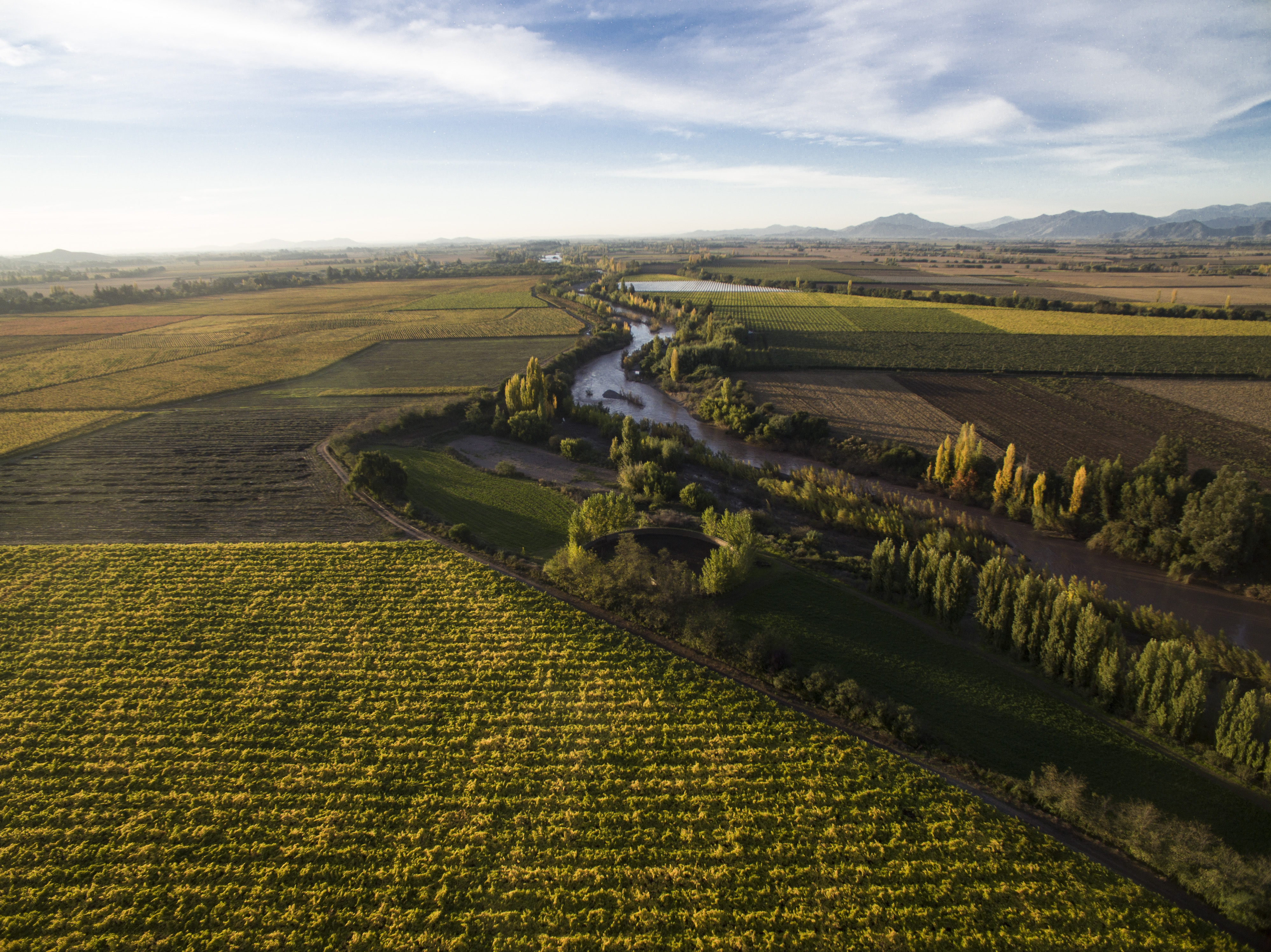 Franc Gran Cabernet Maquis Reserva 2019