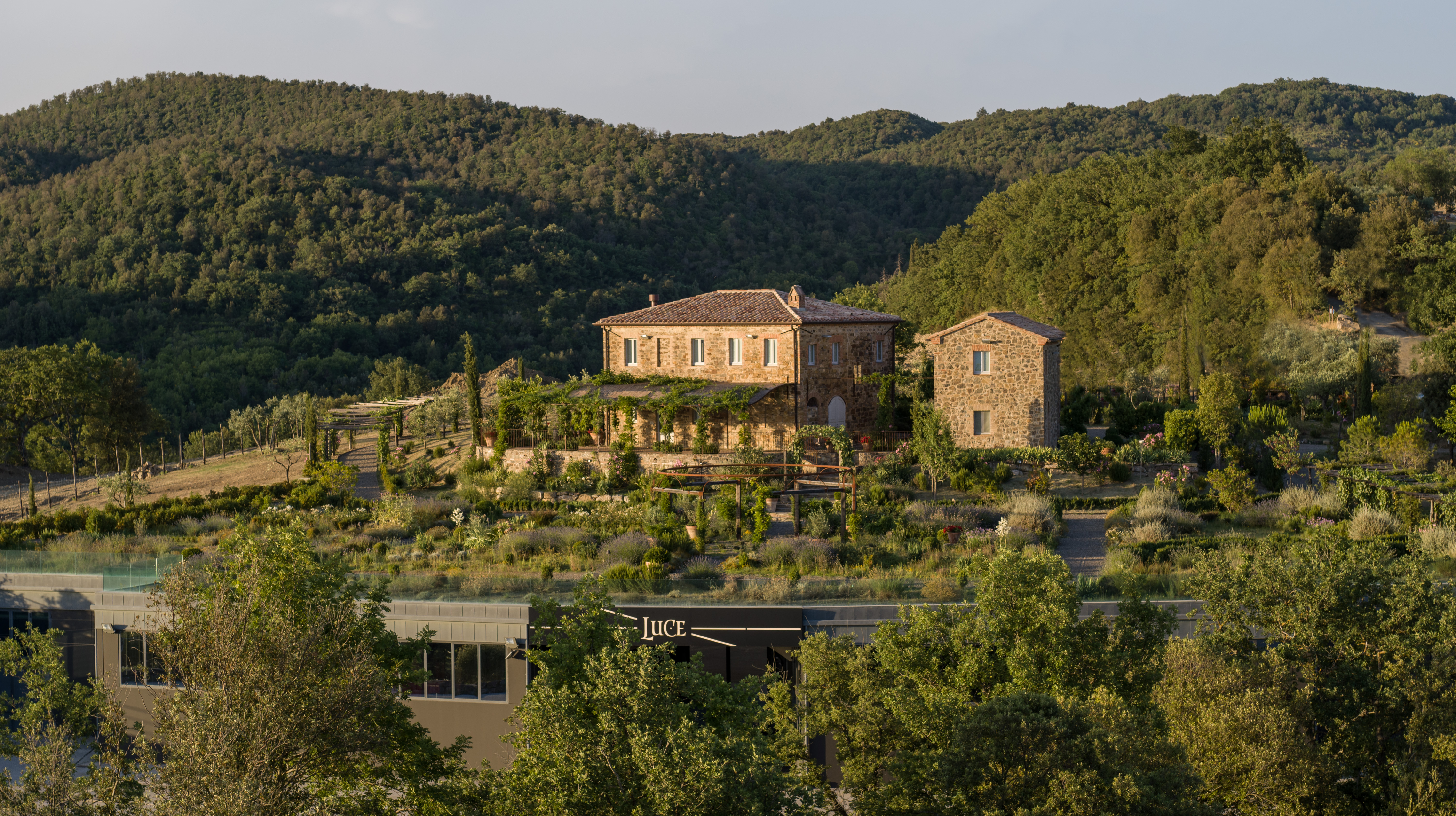 ワイン Lucente 2017 Tenuta Luce Toscana Luce Lucente 2017