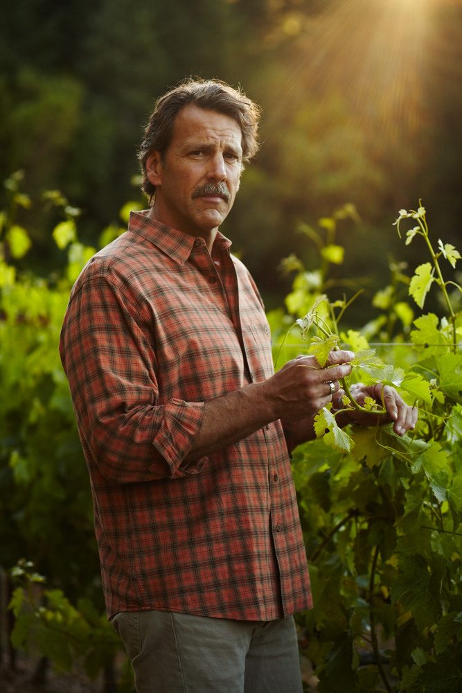 Cardinale Cabernet Sauvignon 2013 | Wine.com