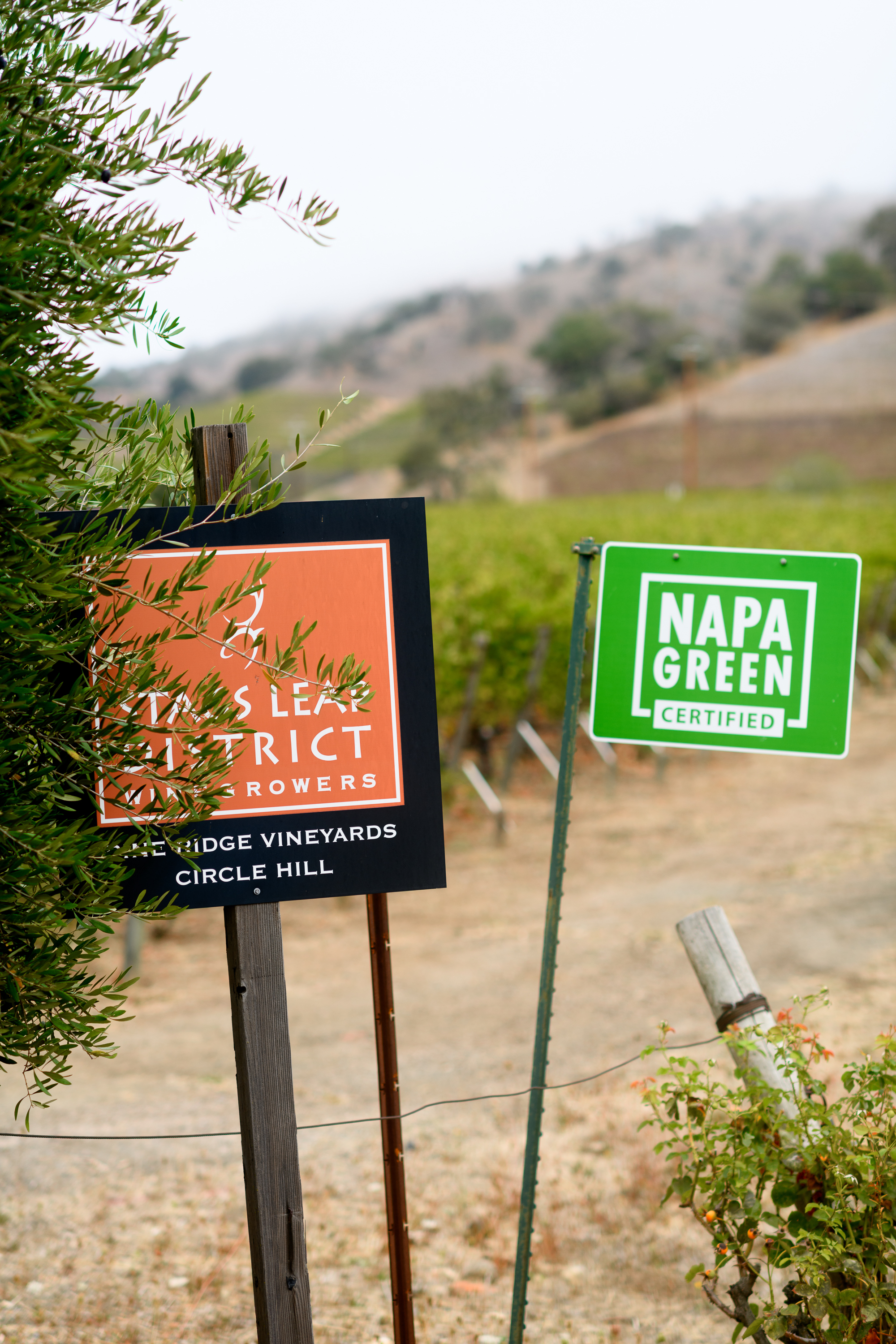 Pine Ridge Wine - Learn About & Buy Online | Wine.com