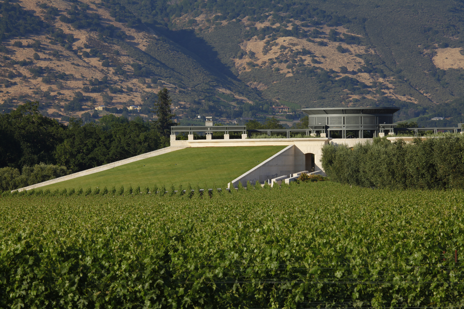 2007 Opus One, Napa Valley, USA  prices, reviews, stores & market