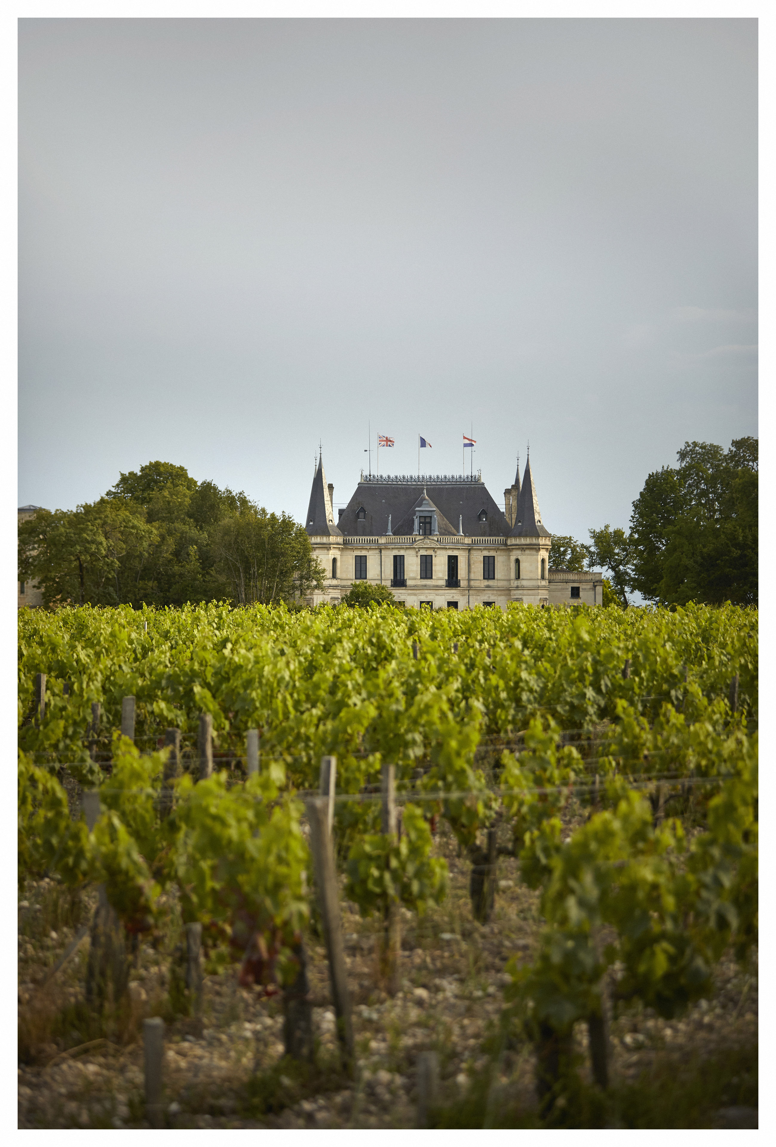 Chateau Palmer 2002 | Wine.com Chateau Palmer 2002 | Wine.com