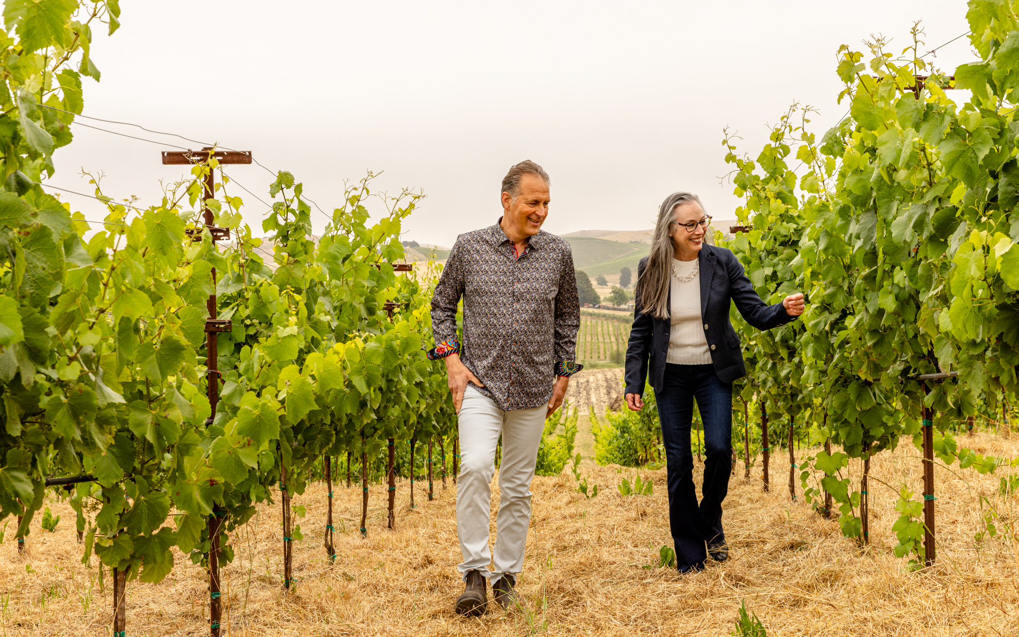 Grgich Hills Estate Zinfandel 2018 | Wine.com