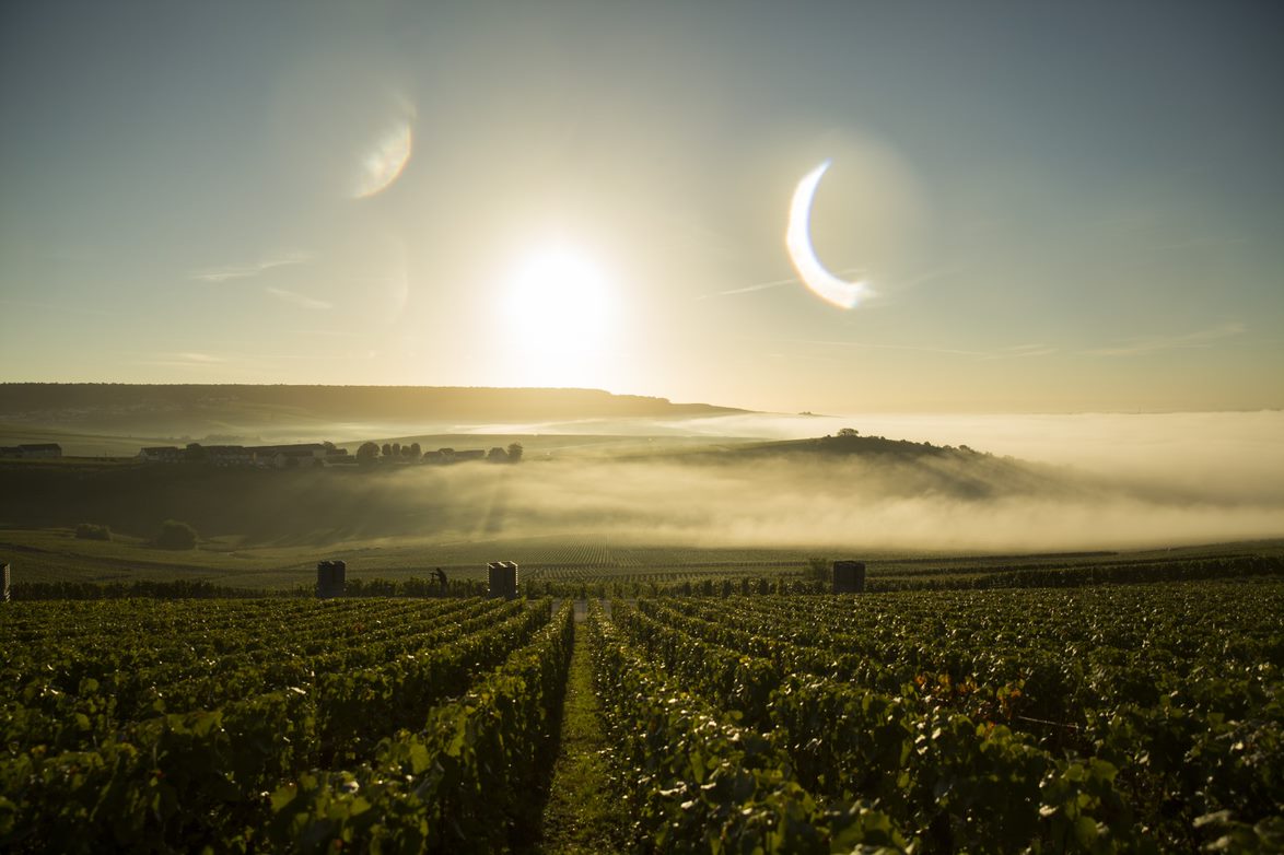 Champagne Vintage 2013 - Elegant Clarity - Dom Pérignon