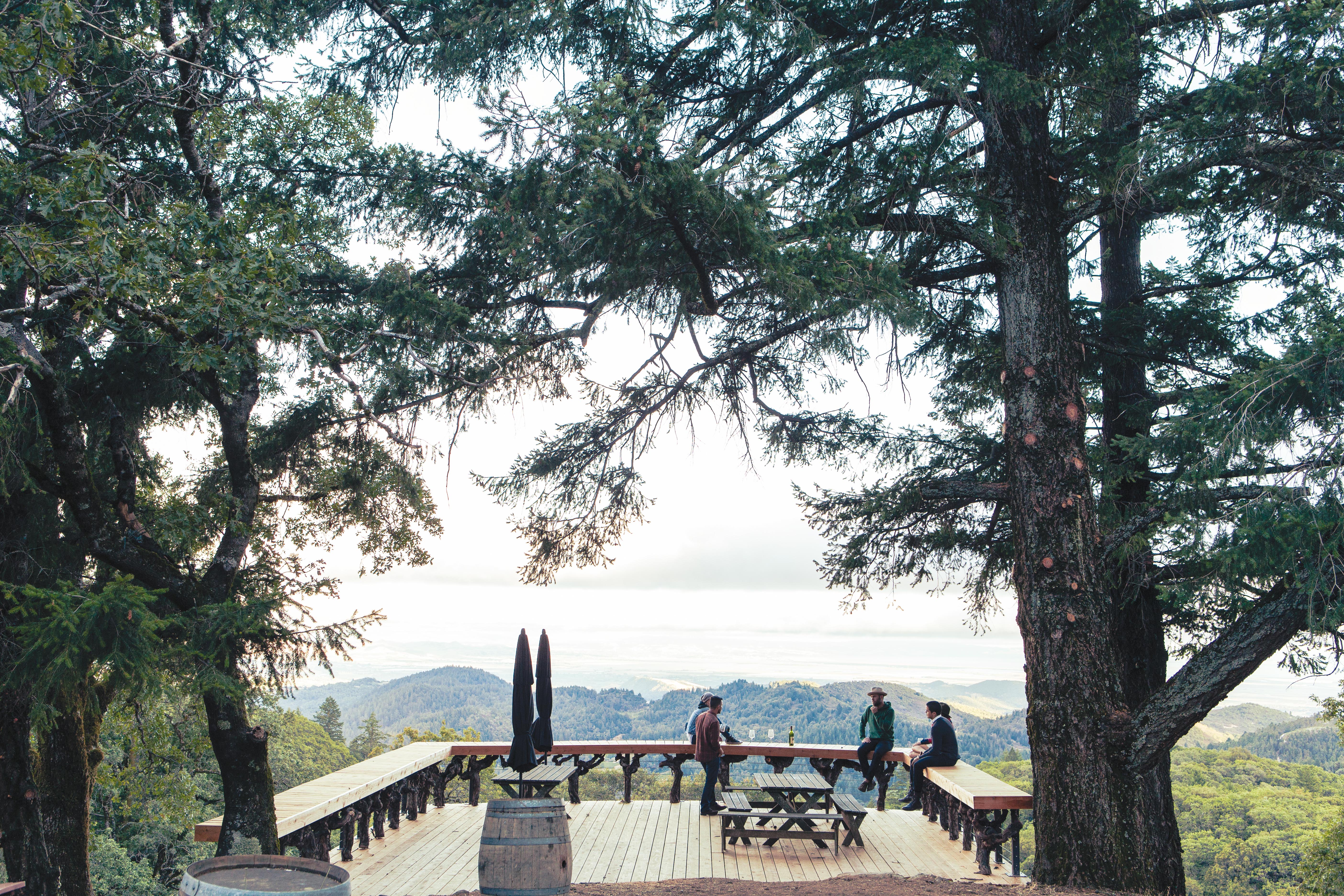 Mayacamas Cabernet Sauvignon 2016 | Wine.com