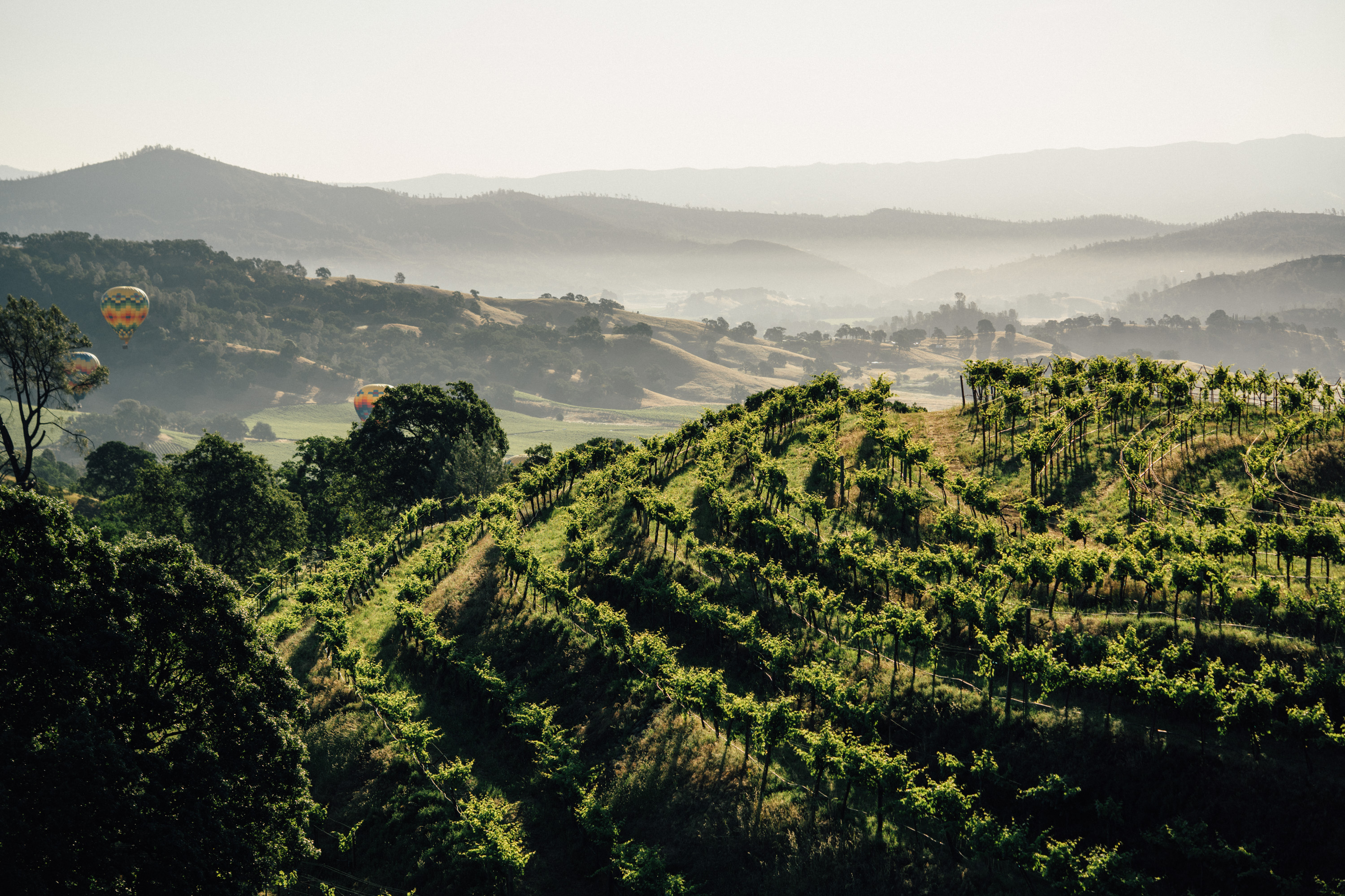 INK GRADE アメリカ ナパバレー 赤ワイン 2017 INK GRADE アメリカ ナパバレー 赤ワイン 2017