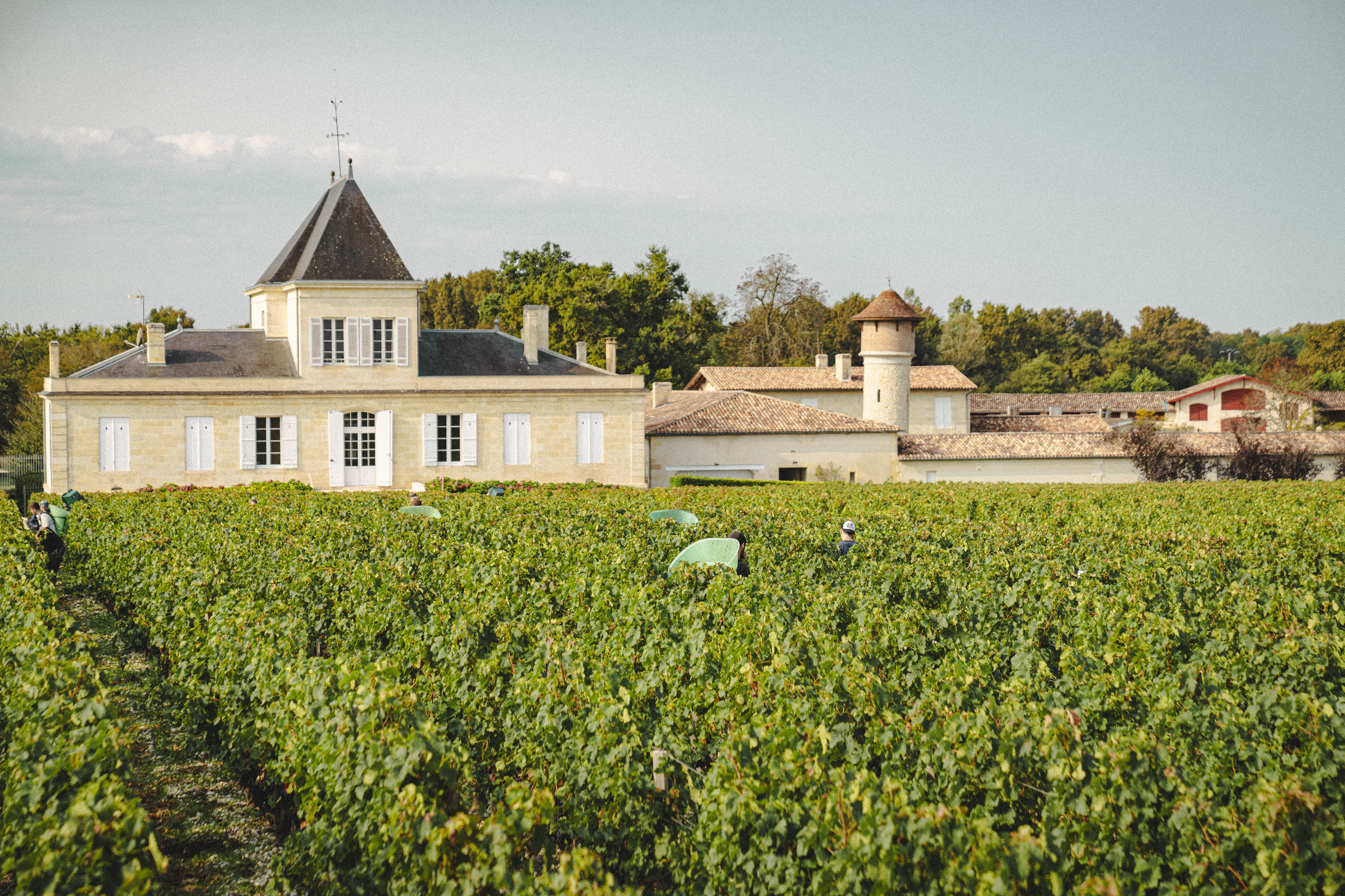 Chateau Brane-Cantenac (Futures Pre-Sale) 2023 | Wine.com