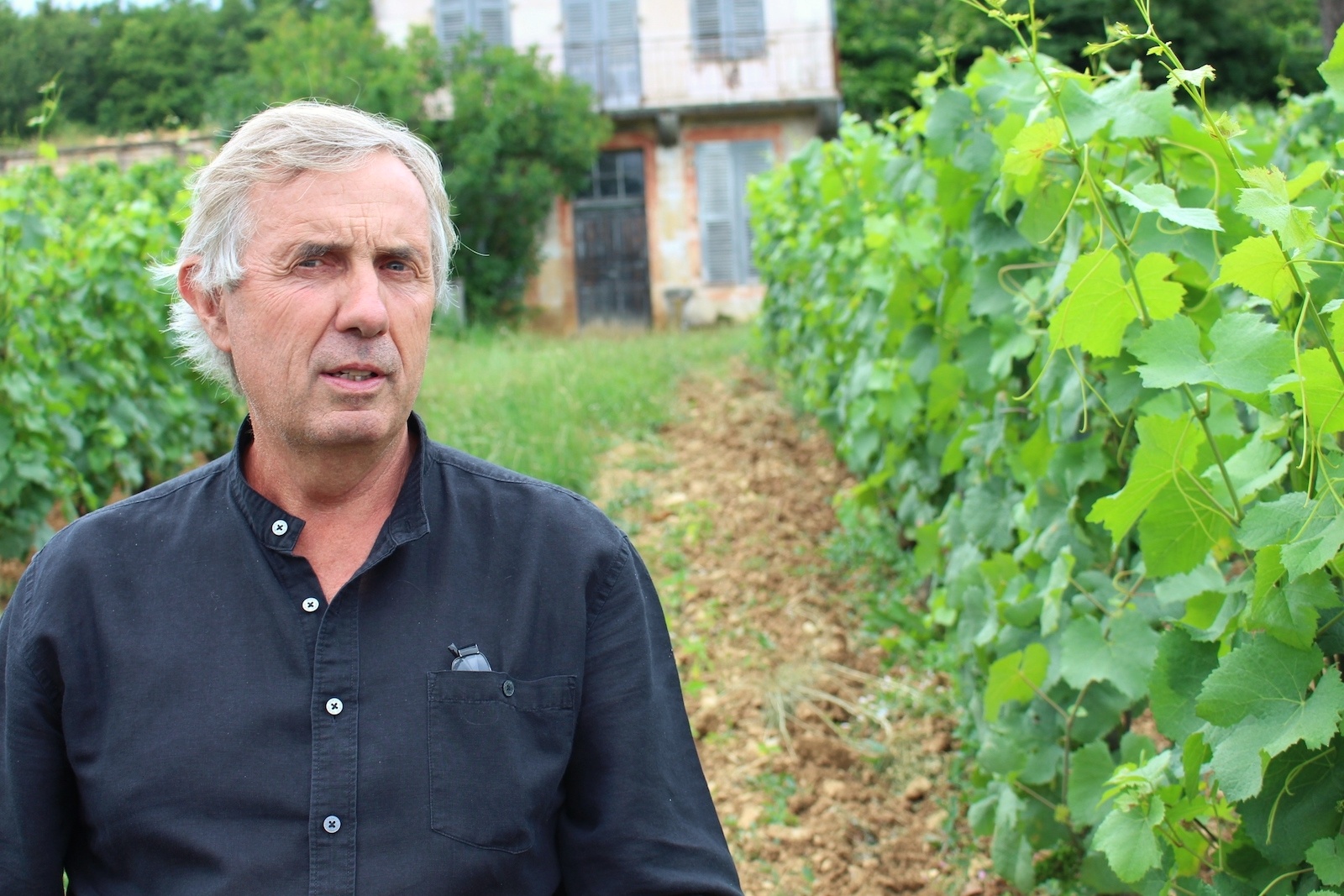 Patrice Rion Nuits-Saint-Georges Vieilles Vignes 2021 | Wine.com