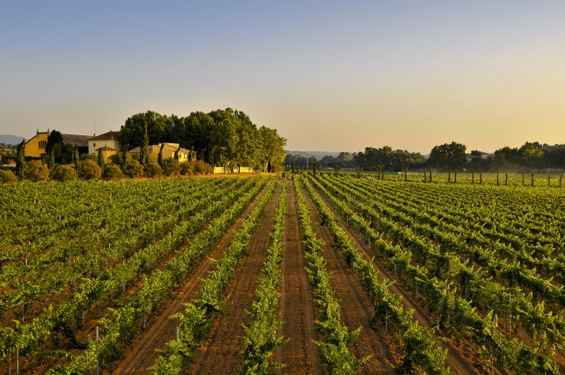 Familia Torres Altos Ibericos Crianza 2017 | Wine.com Familia Torres Altos Ibericos Crianza 2017 | Wine.com