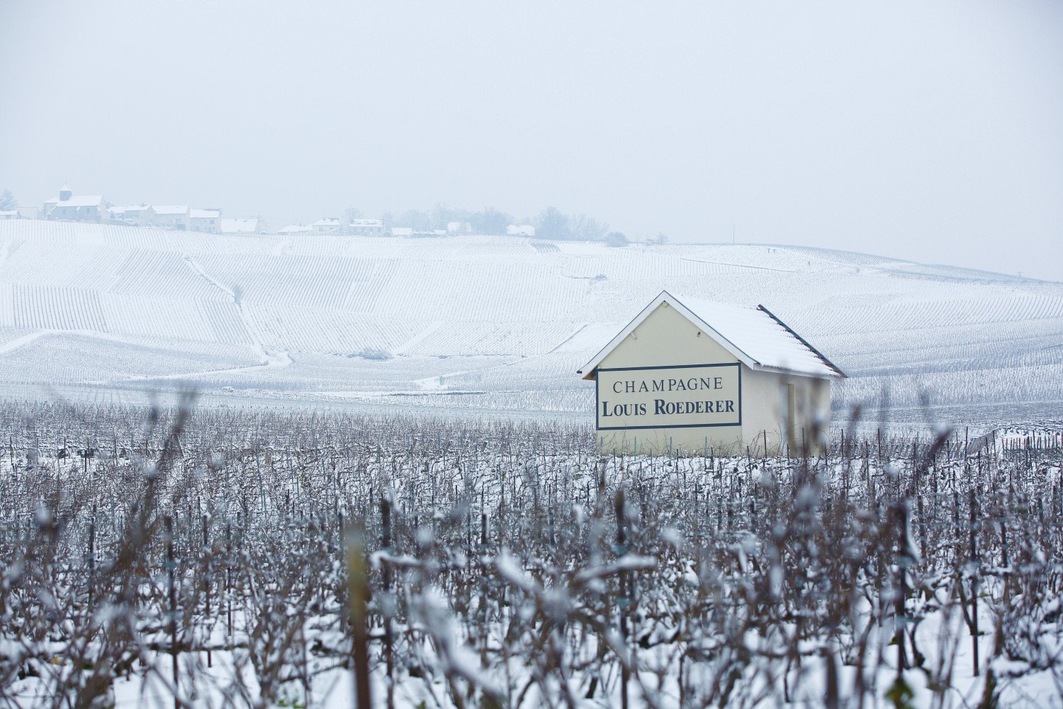 Champagne Louis Roederer Collection 243 et deux flûtes