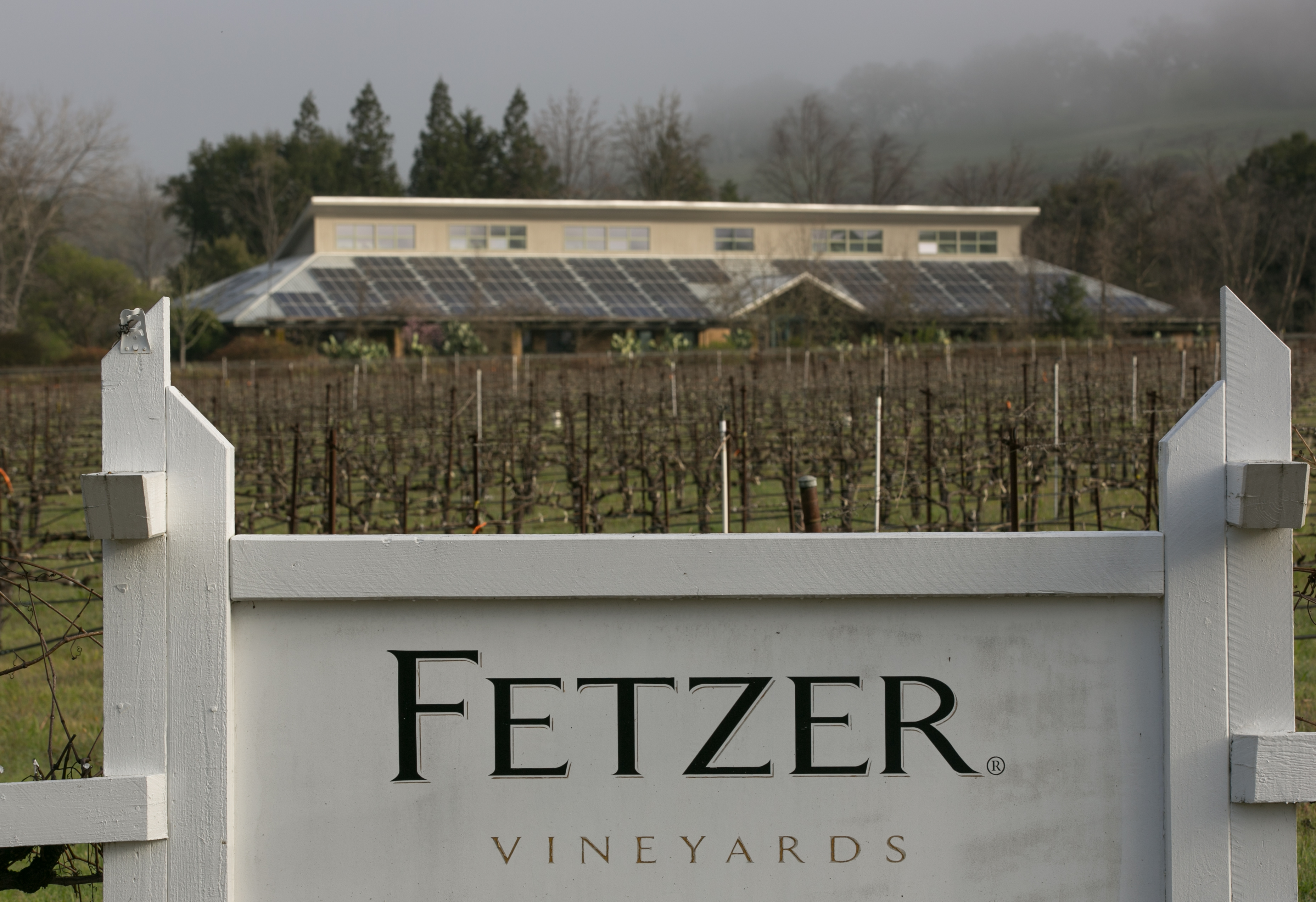 Fetzer Wine - Learn About Online Buy 