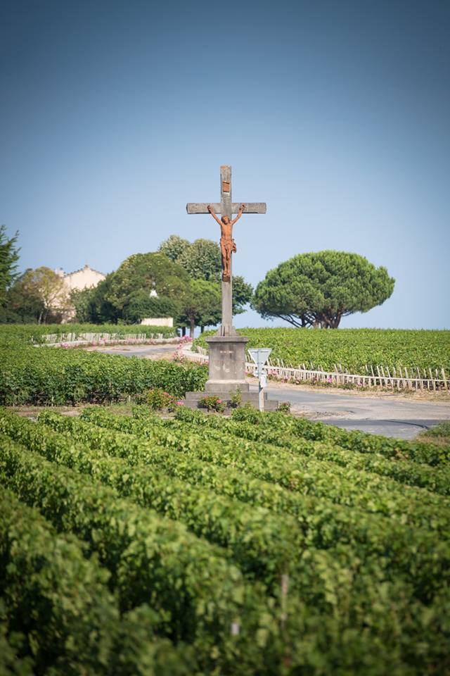 Chateau Lynch-Bages 2019 | Wine.com Chateau Lynch-Bages 2019 | Wine.com