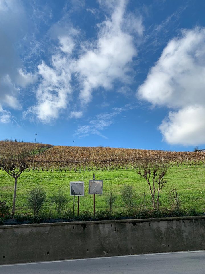 Remo Farina Amarone della Valpolicella Classico 2019