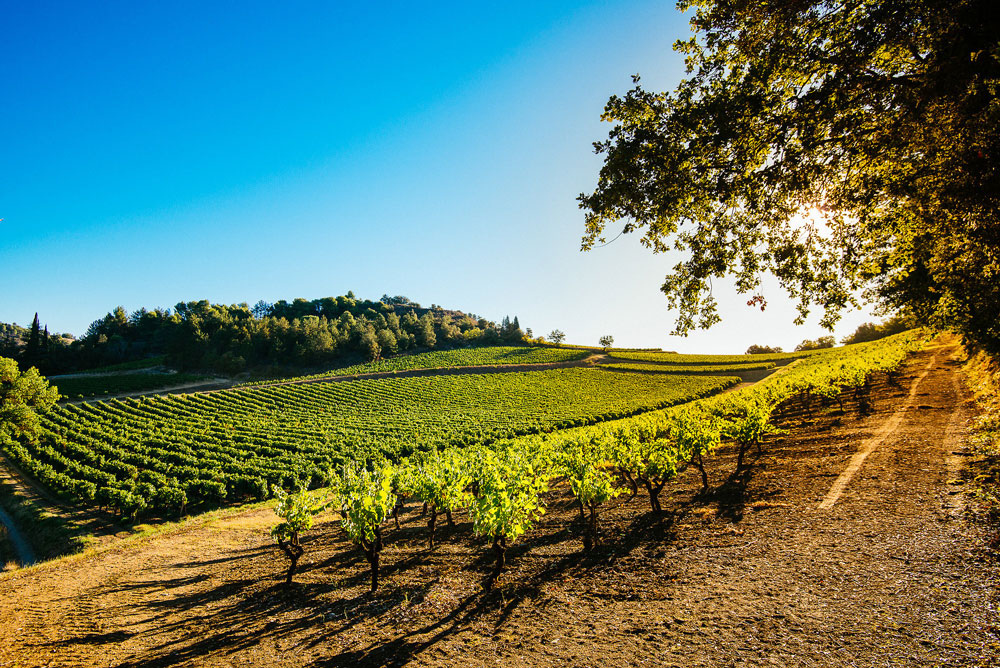 Domaine Laroque Cite de Carcassonne Rose 2021