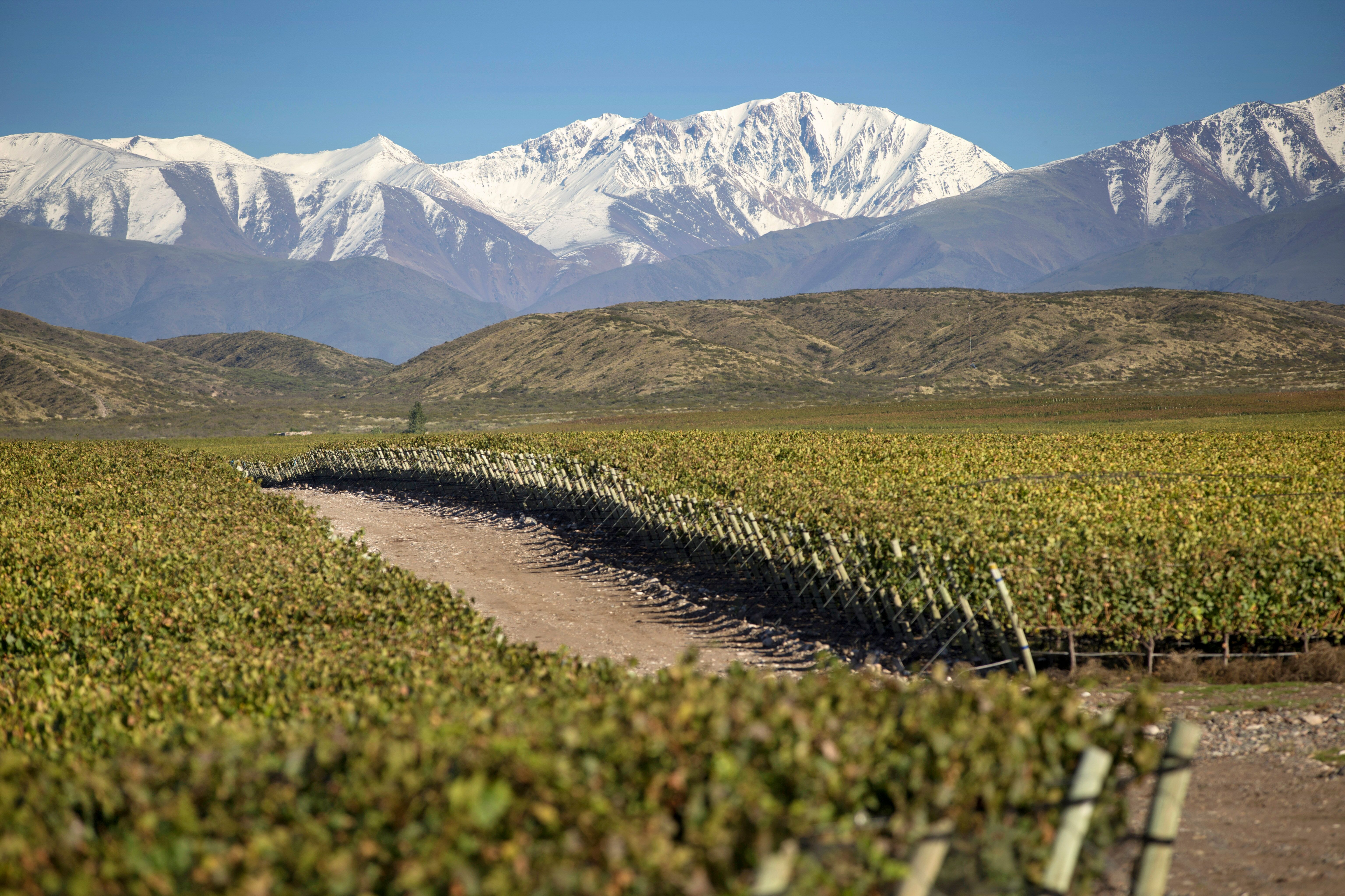 Dona Paula Malbec Seleccion de Bodega 2019