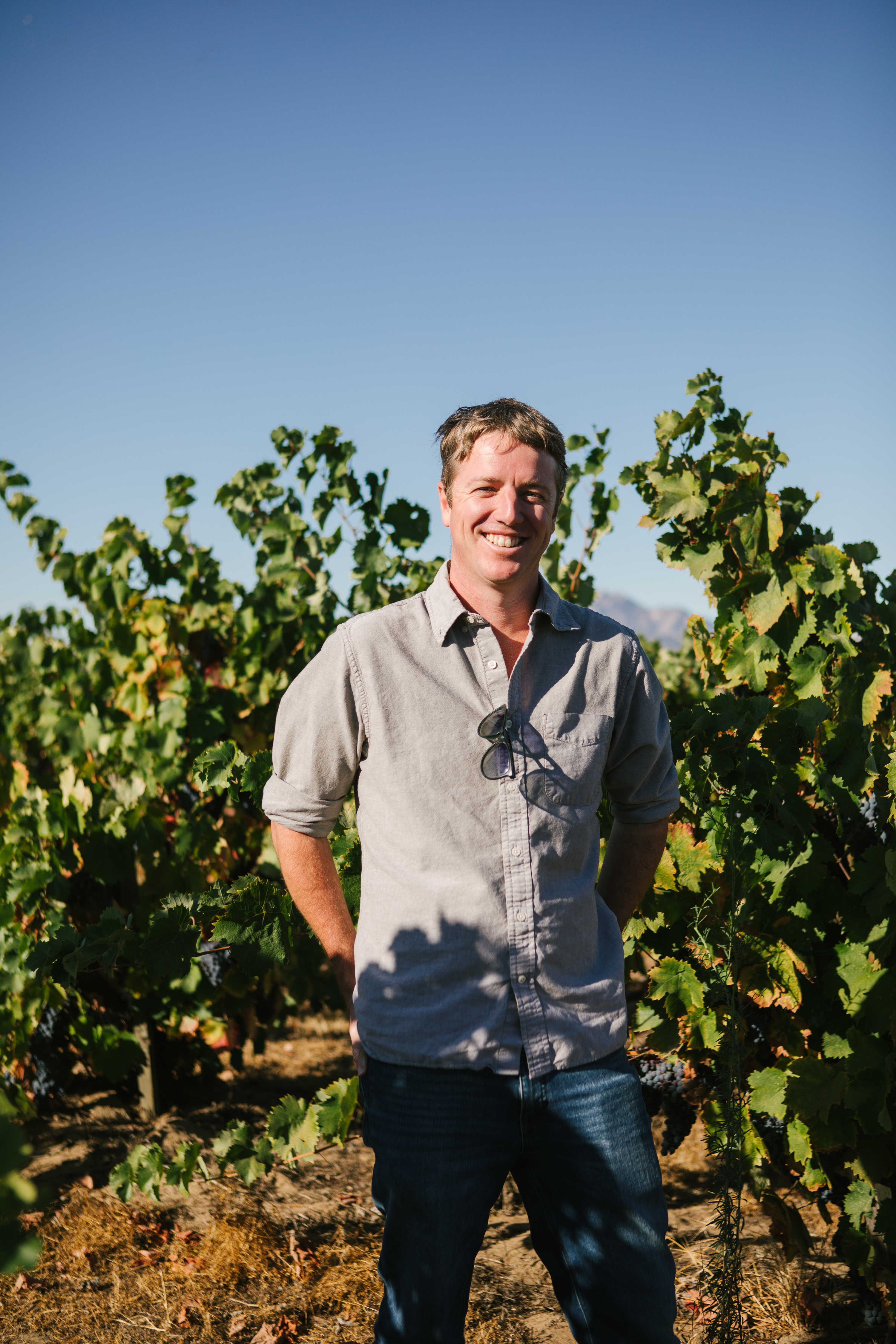 Cline Ancient Vines Zinfandel 2018 | Wine.com