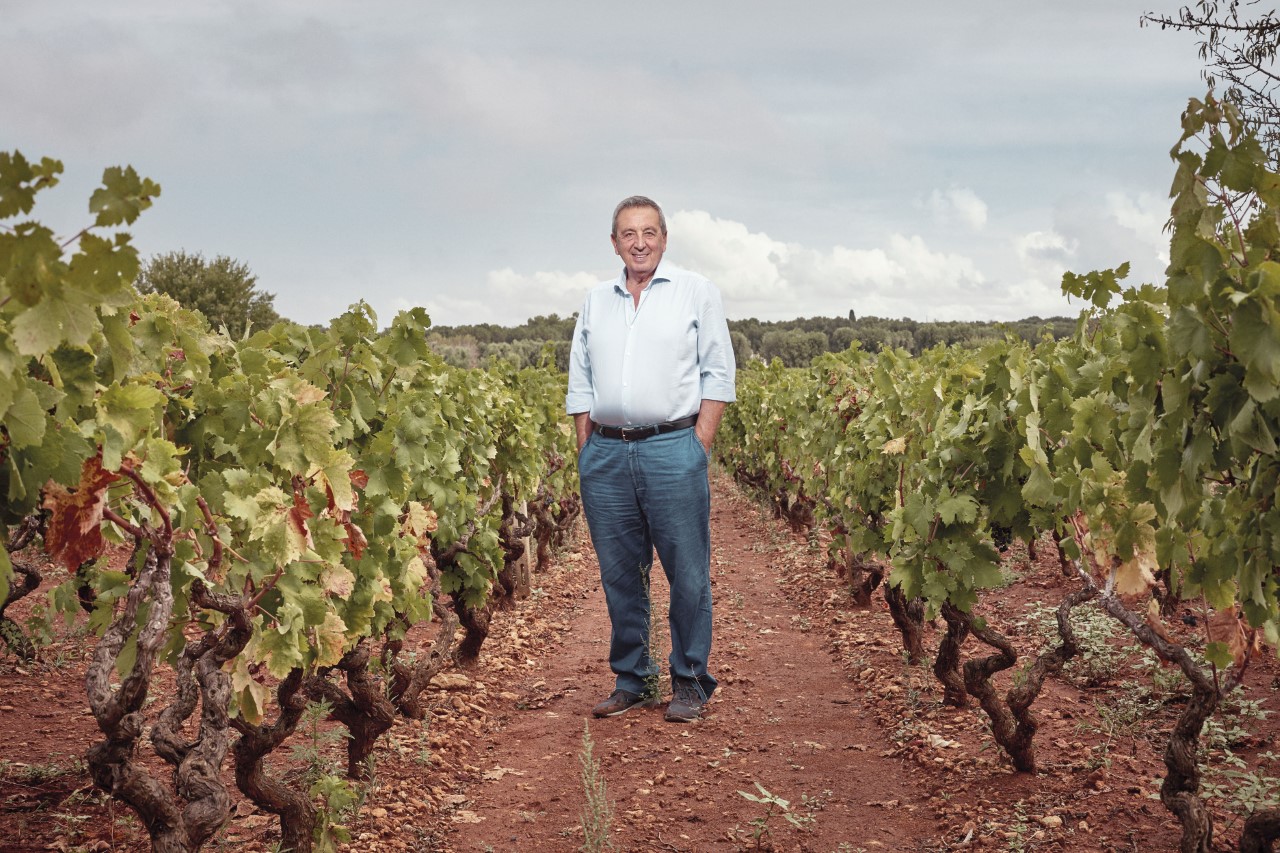 Di Marzano Primitivo 2018 Cantine Manduria Sessantanni San