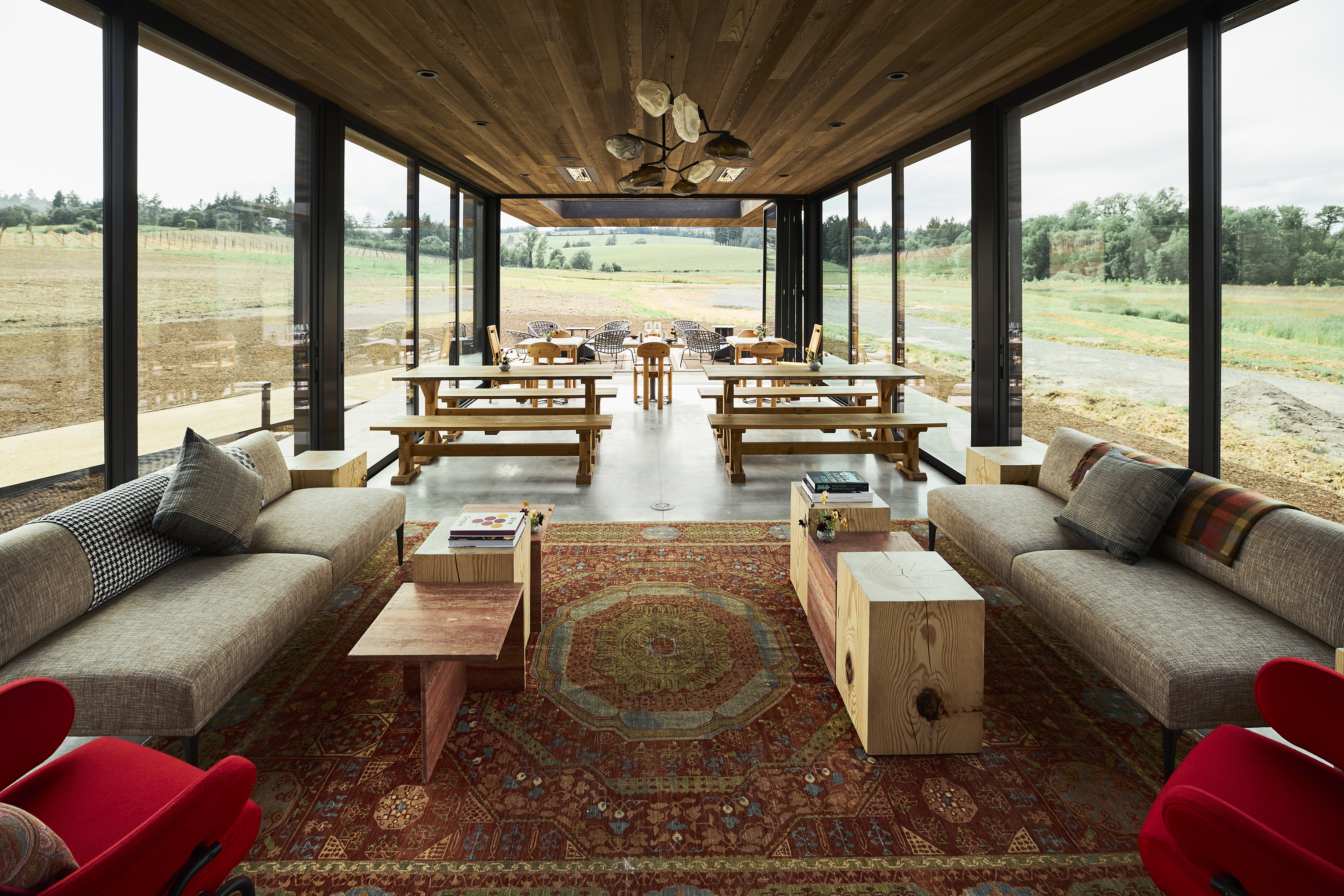 Lingua Franca AVNI Pinot Noir 2021 | Wine.com