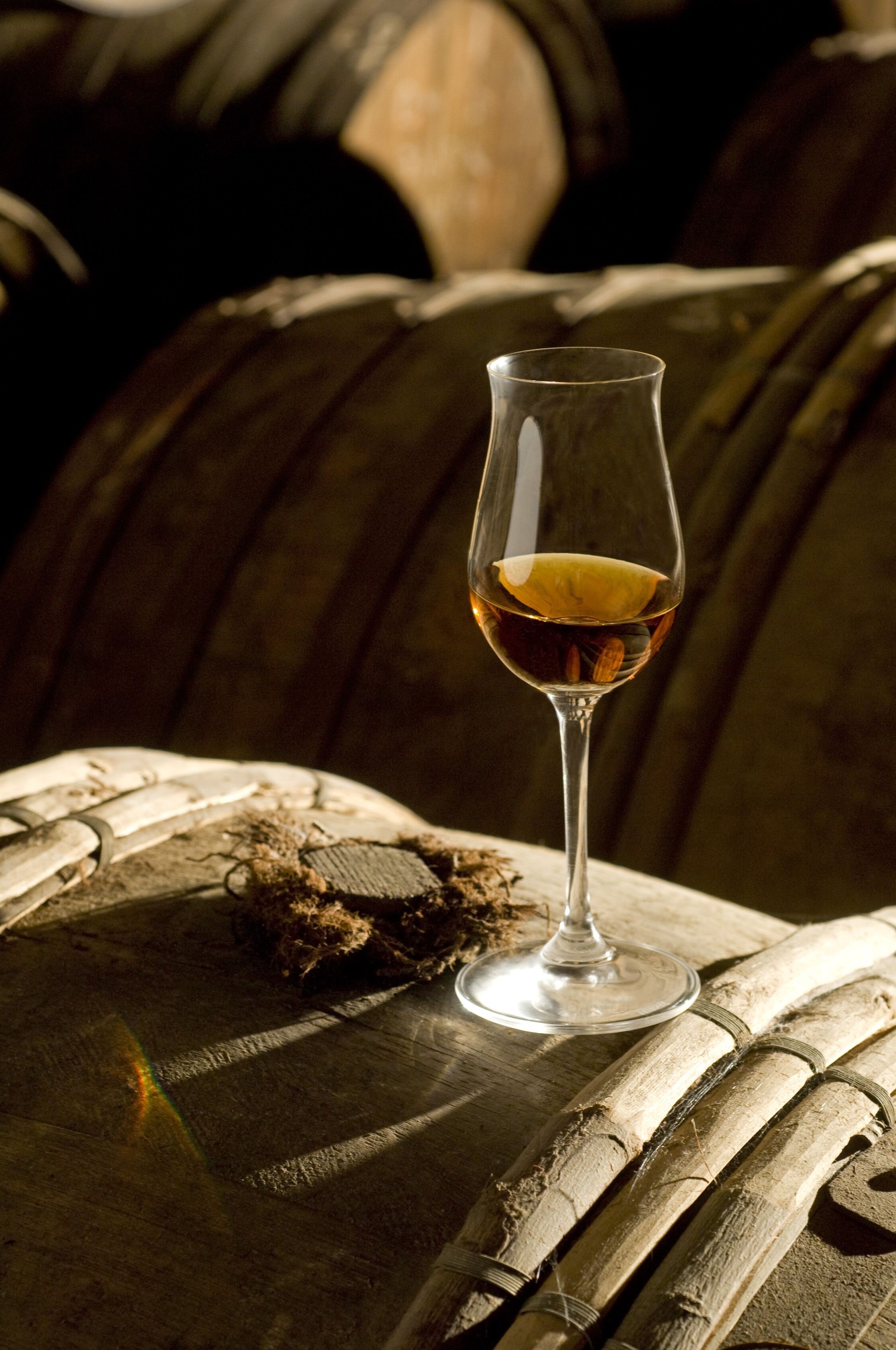 Tesseron Lot 76 Tradition XO Cognac | Wine.com