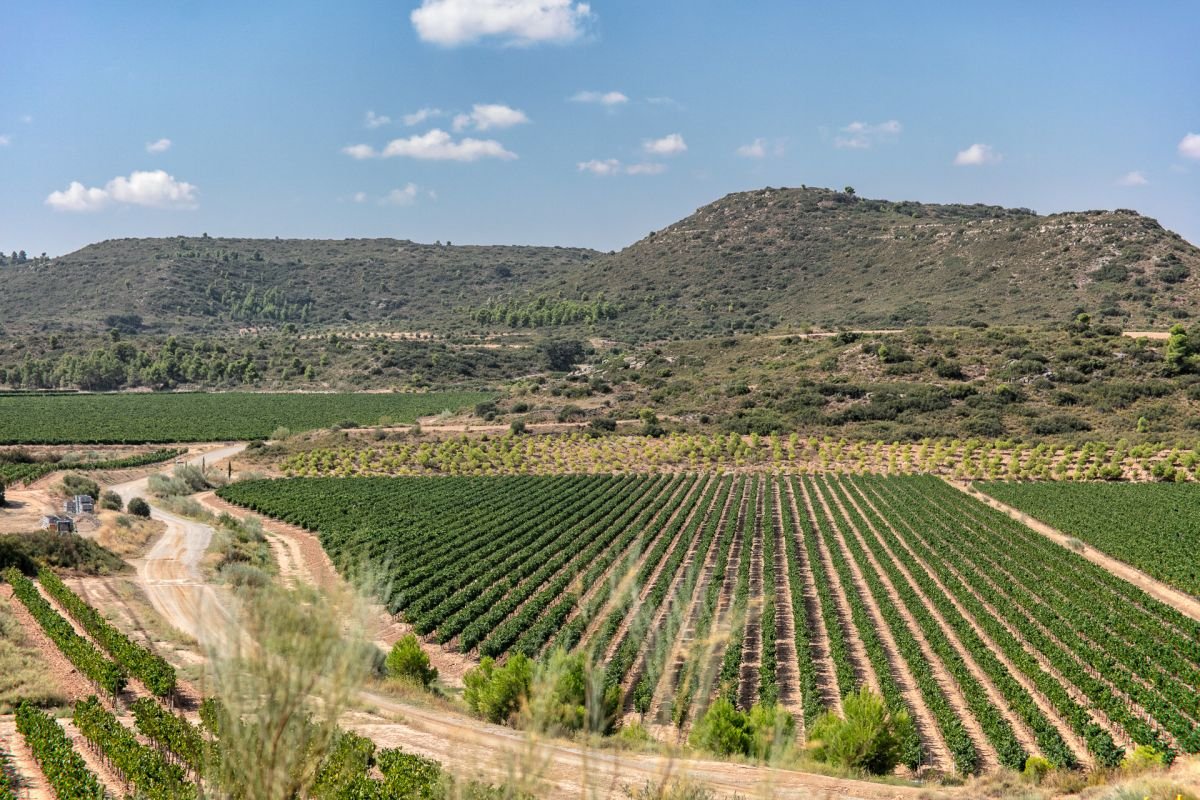 Familia Torres Altos Ibericos Crianza 2017 | Wine.com Familia Torres Altos Ibericos Crianza 2017 | Wine.com