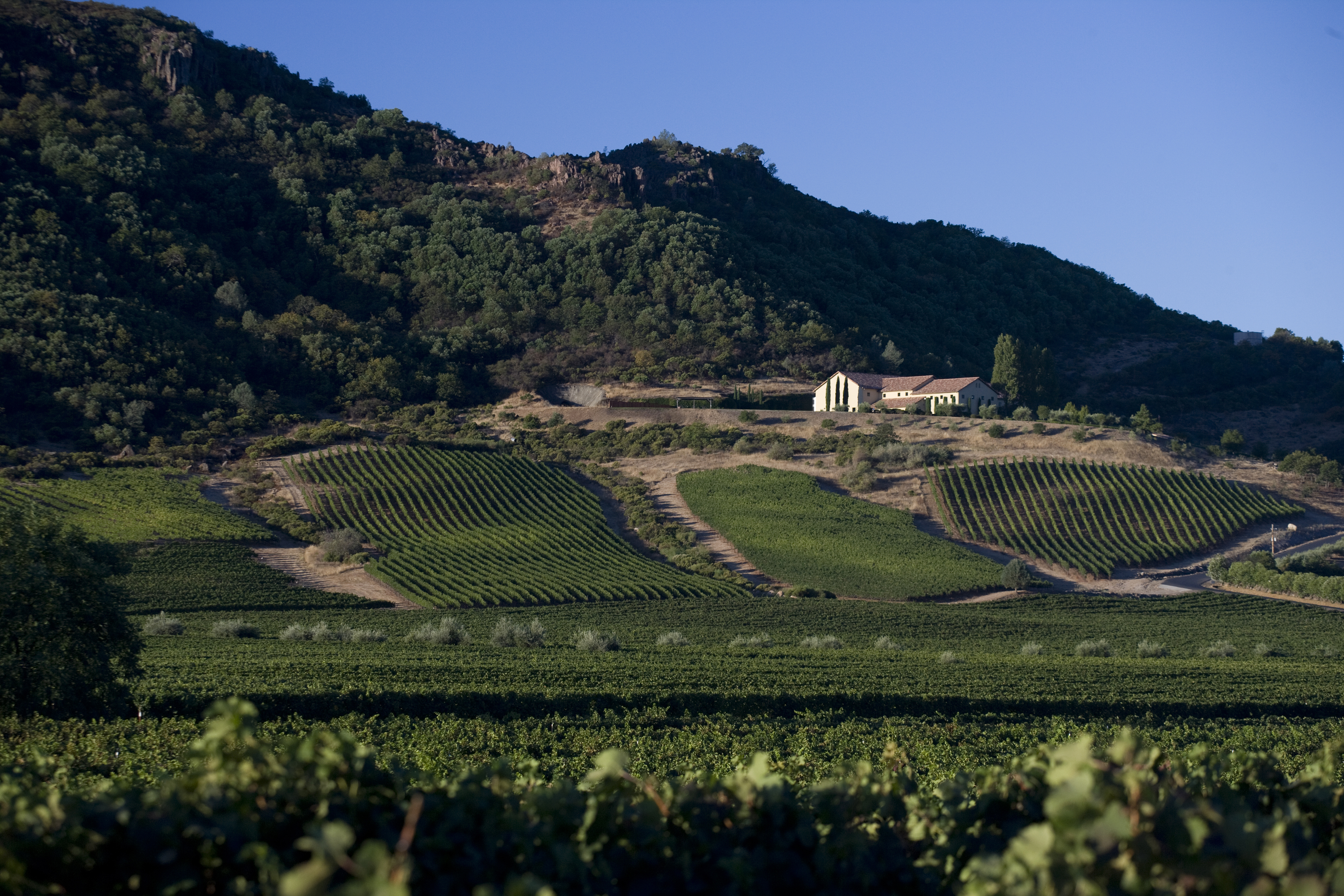 Antica Cabernet Sauvignon 2013 | Wine.com