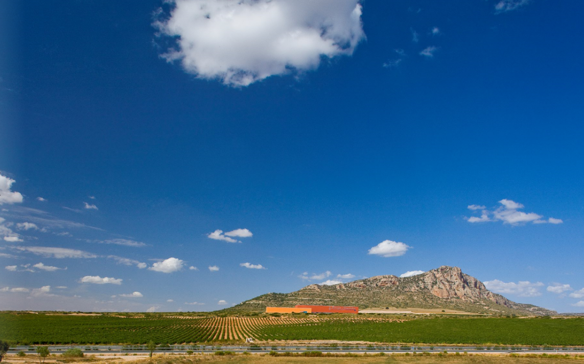 Bodegas Venta La Ternario Garnacha 2018 Tintorera 2 Vega