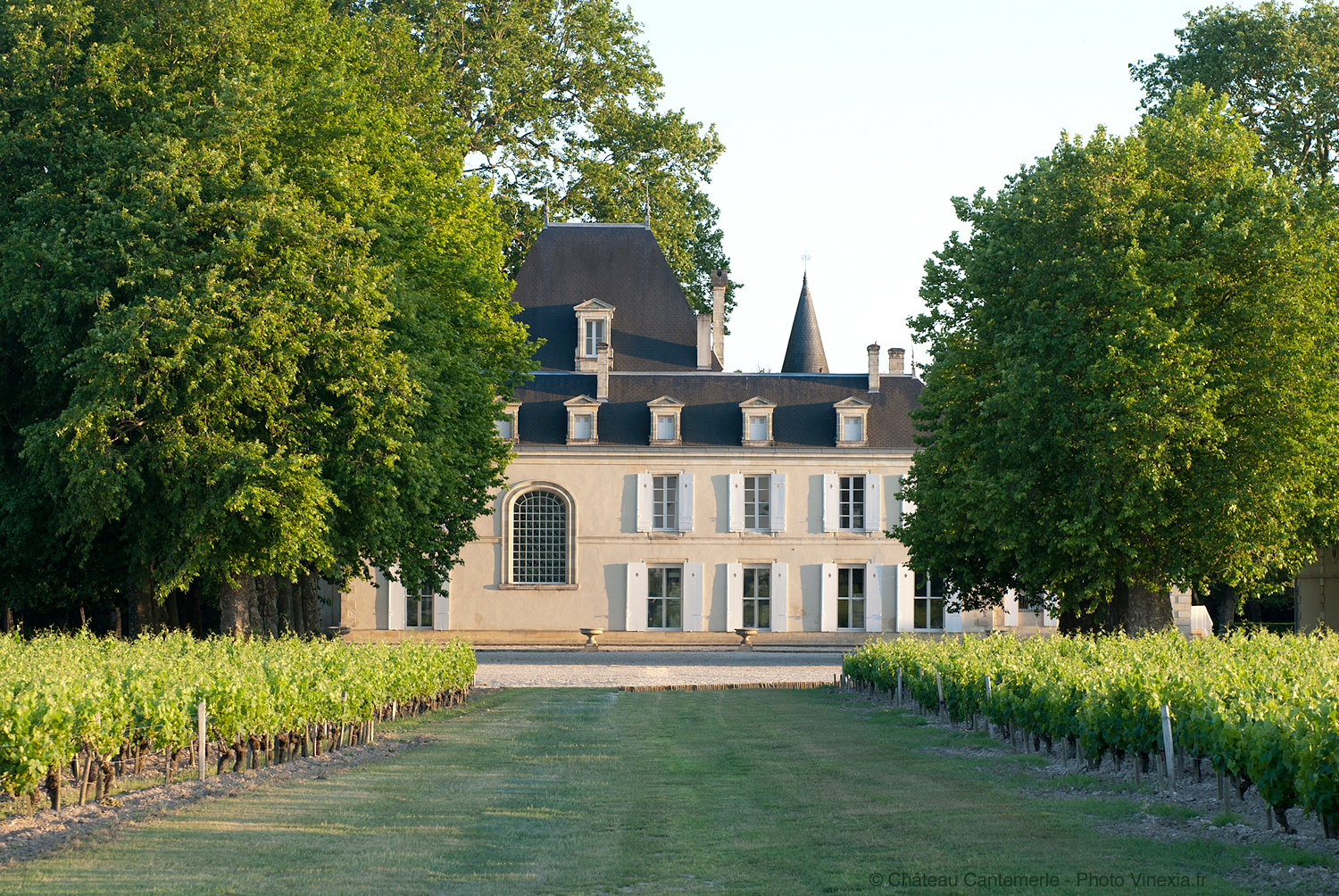 Chateau Cantemerle 2010 | Wine.com
