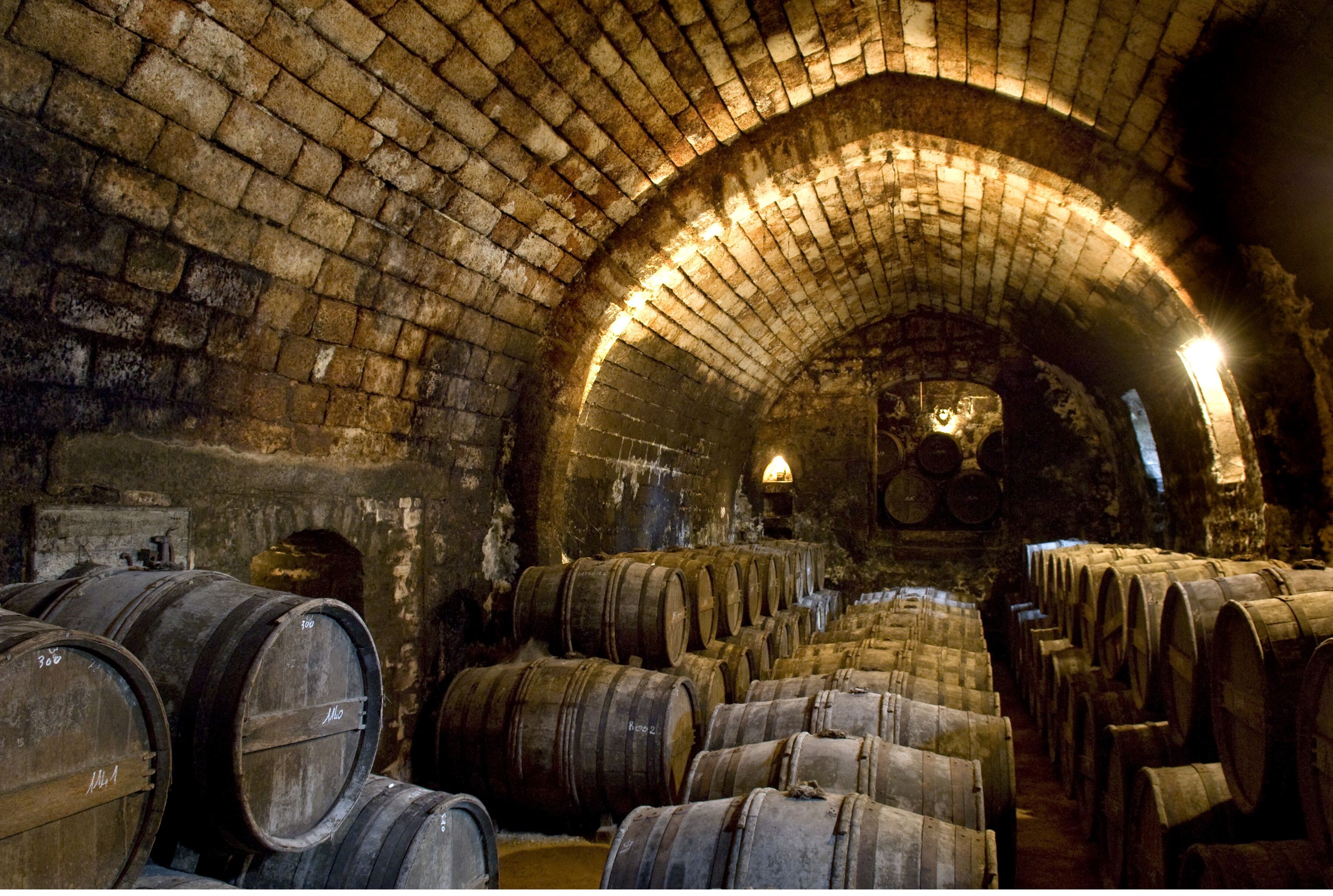 Tesseron Lot 29 Exception XO Cognac with Gift Box | Wine.com