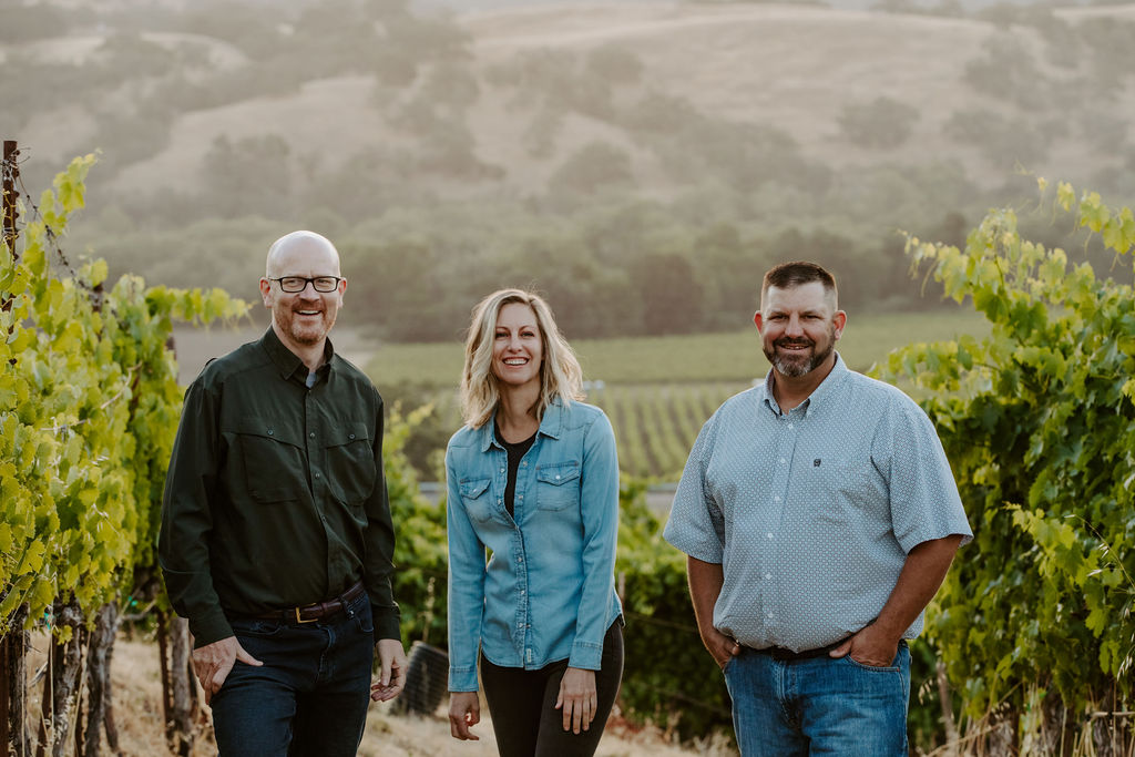 Seghesio Sonoma Zinfandel 2013 | Wine.com