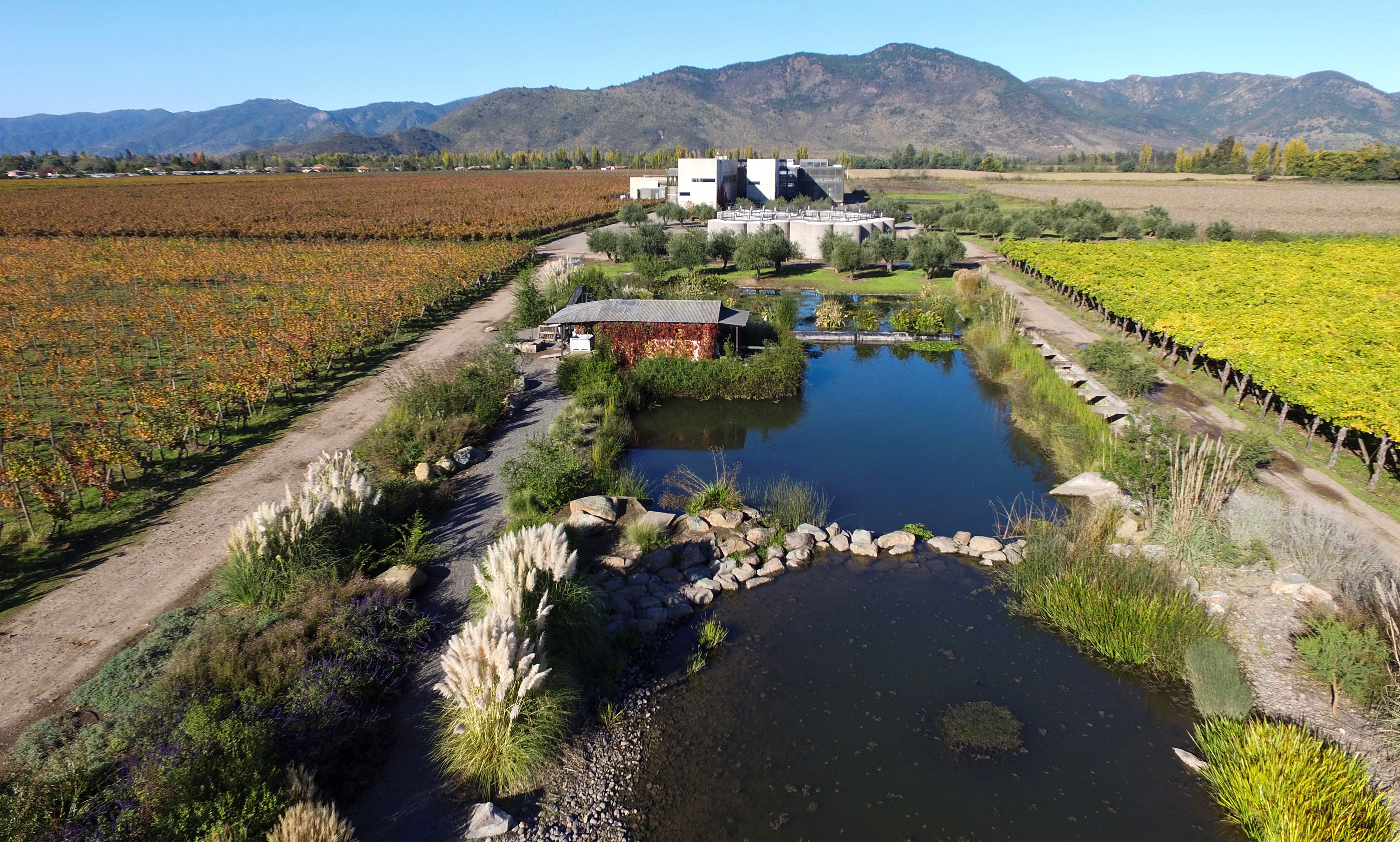 Gran Cabernet Reserva 2019 Maquis Franc