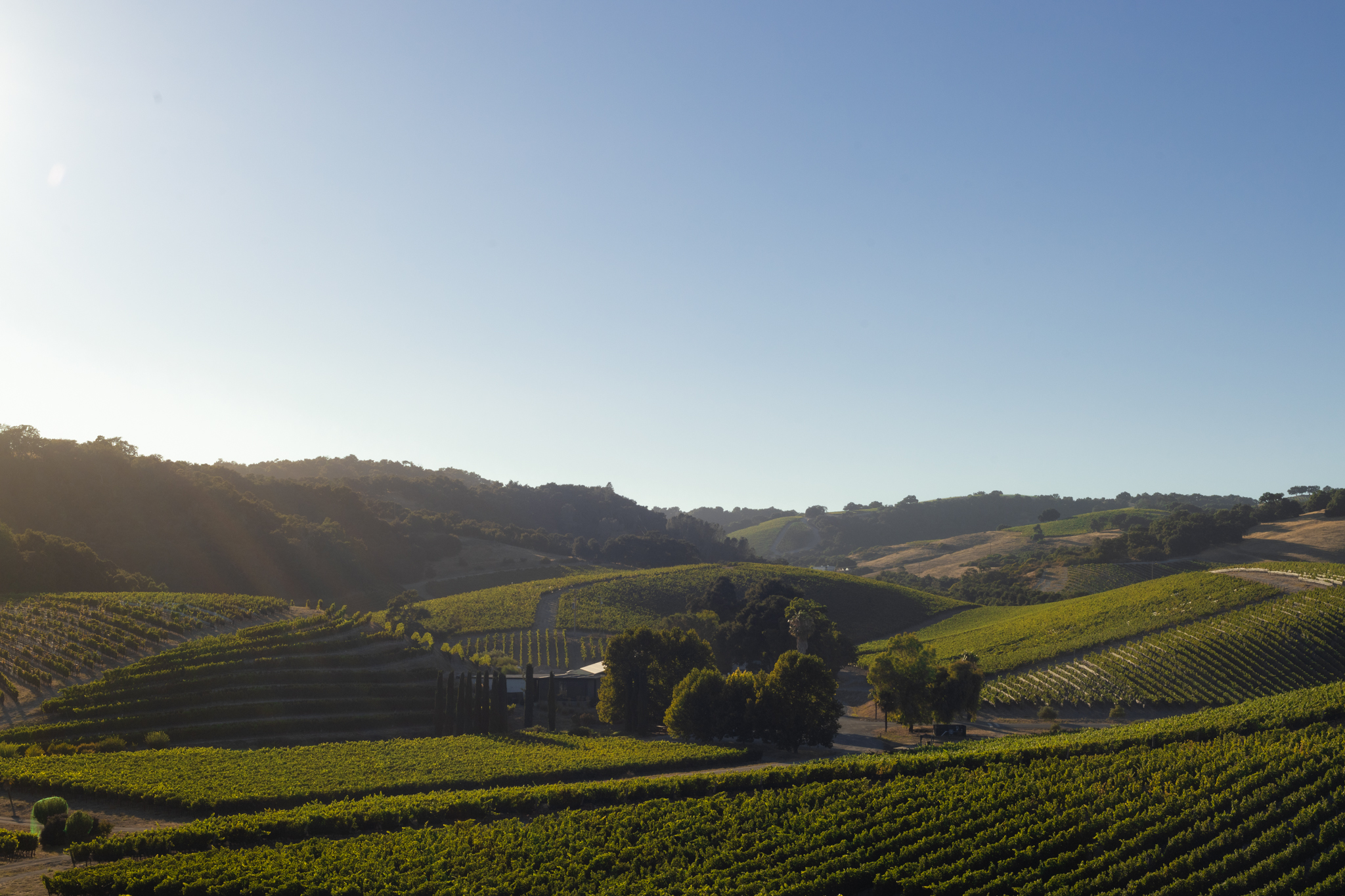 Stephan Vineyards-L'Aventure | Artisan Beverage Group
