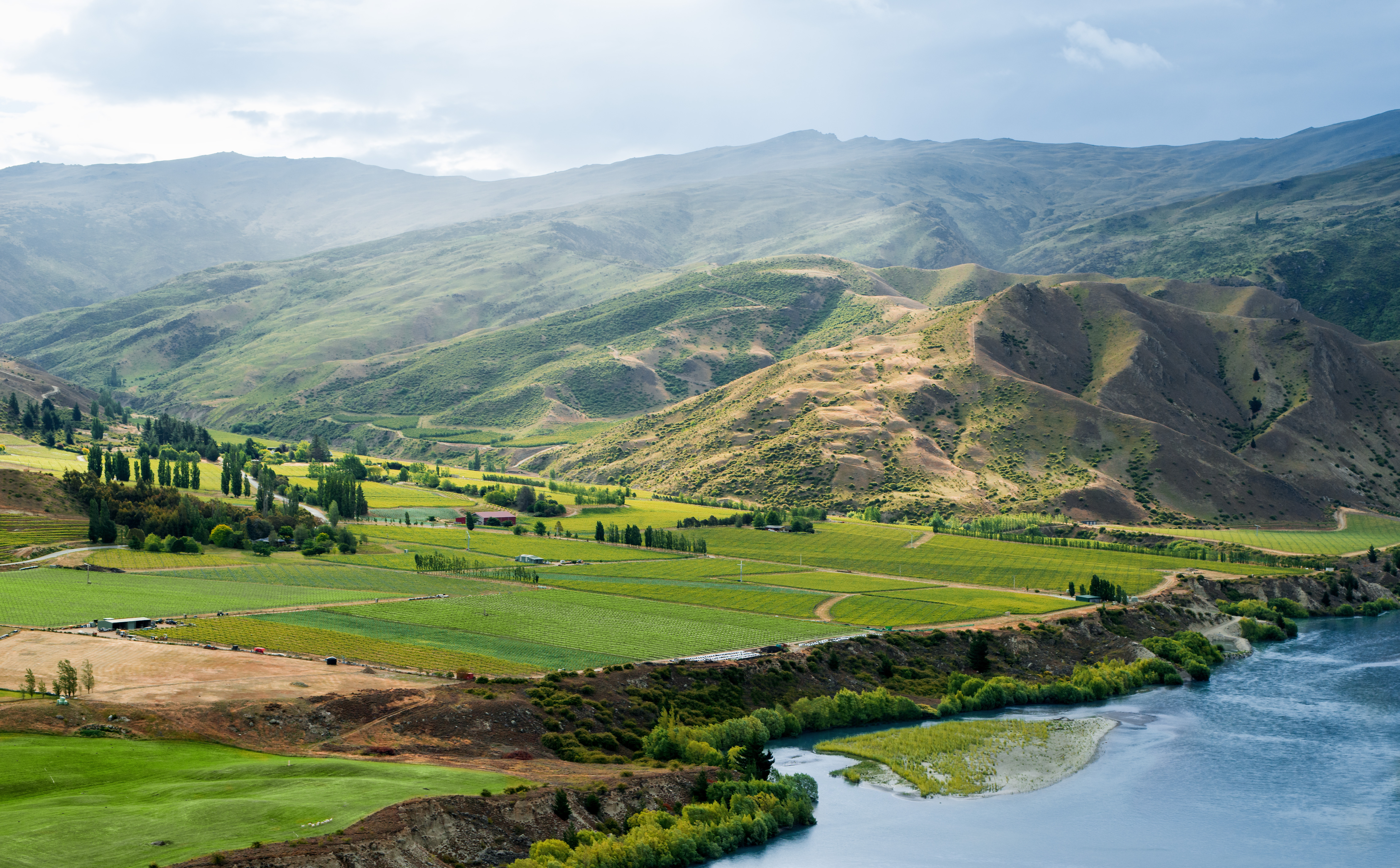 Cloudy Bay Pinot Noir 2020 - New Zealand - Voyageurs du Vin