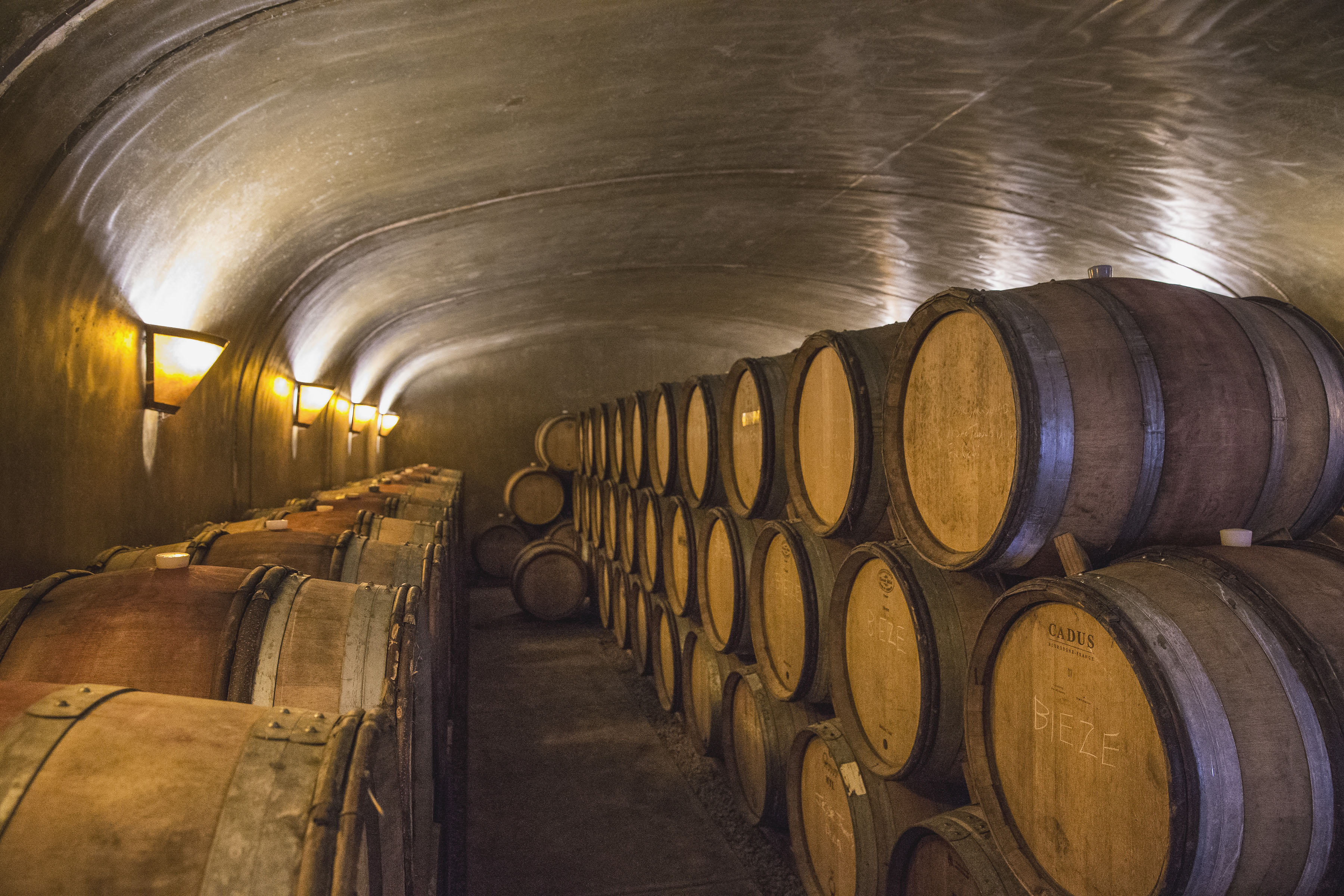 J. Christopher Basalte Pinot Noir 2019 | Wine.com J. Christopher Basalte Pinot Noir 2019 | Wine.com