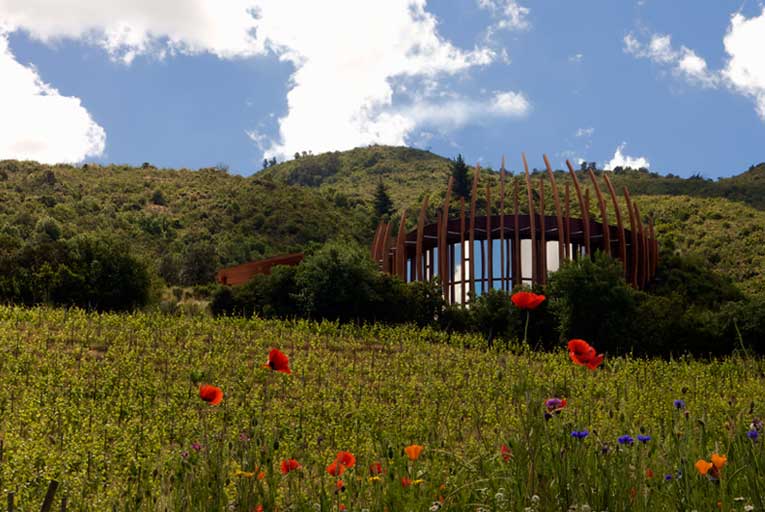 Clos Apalta Wine - Learn About & Buy Online | Wine.com