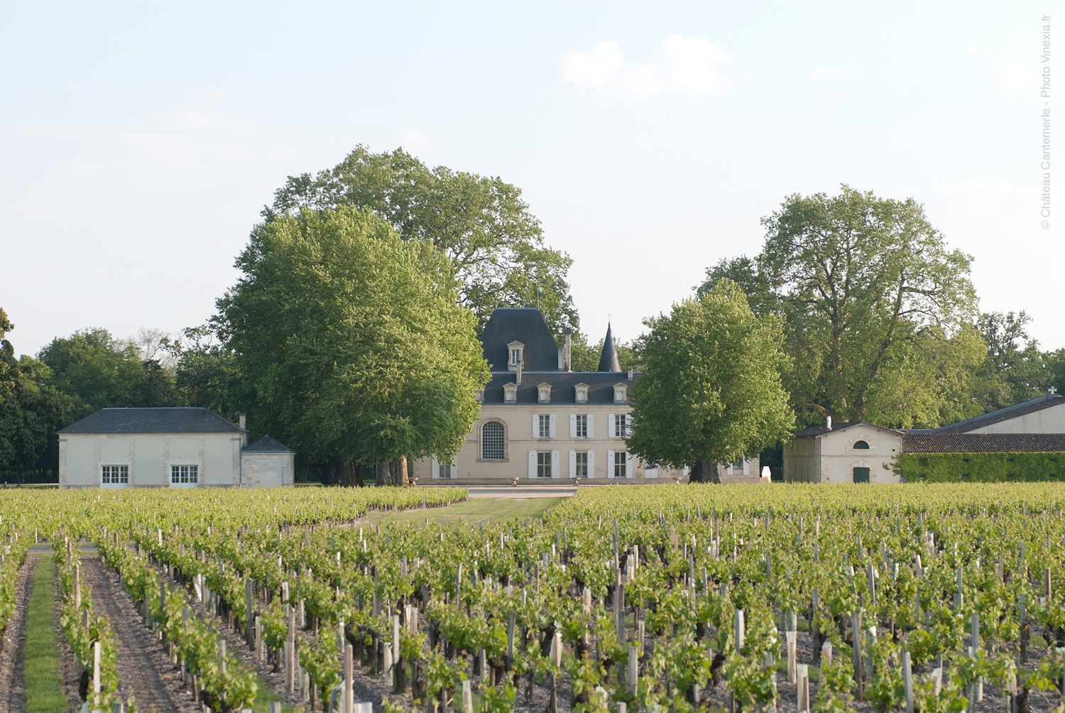 Chateau Cantemerle 2010 | Wine.com