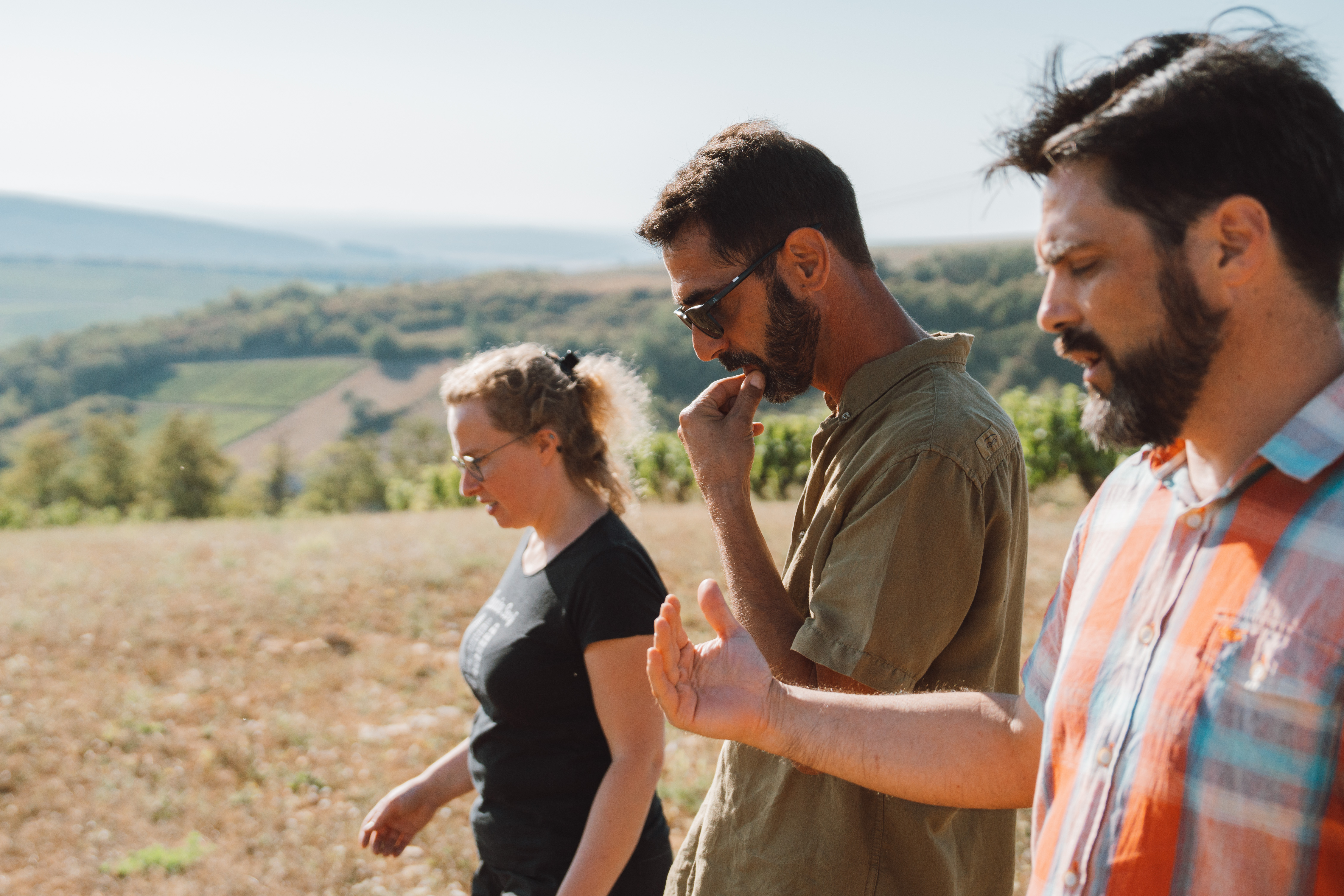 Domaine Hubert Brochard Sancerre 2023 | Wine.com