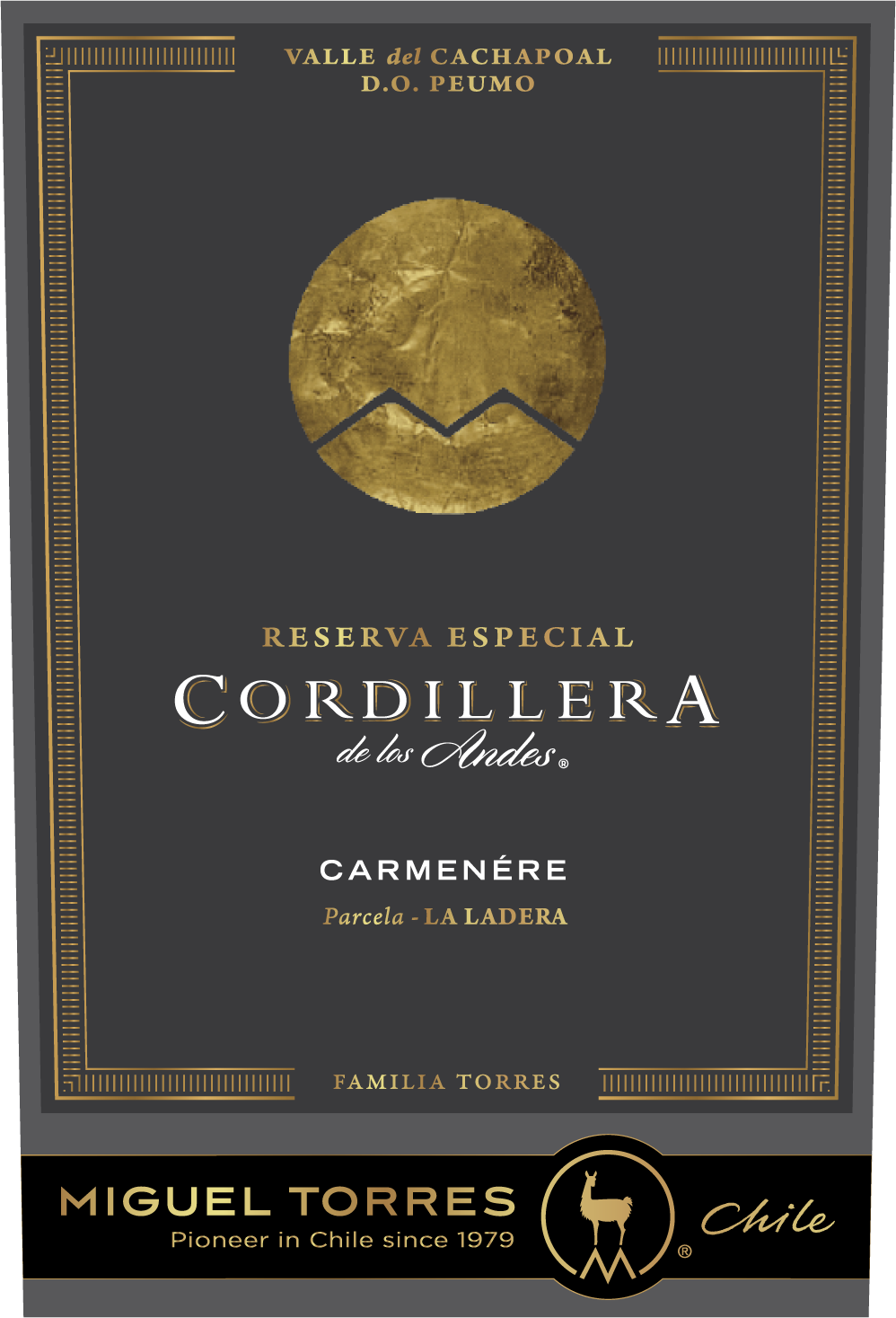 Carmenere Wine - Learn About & Buy Online