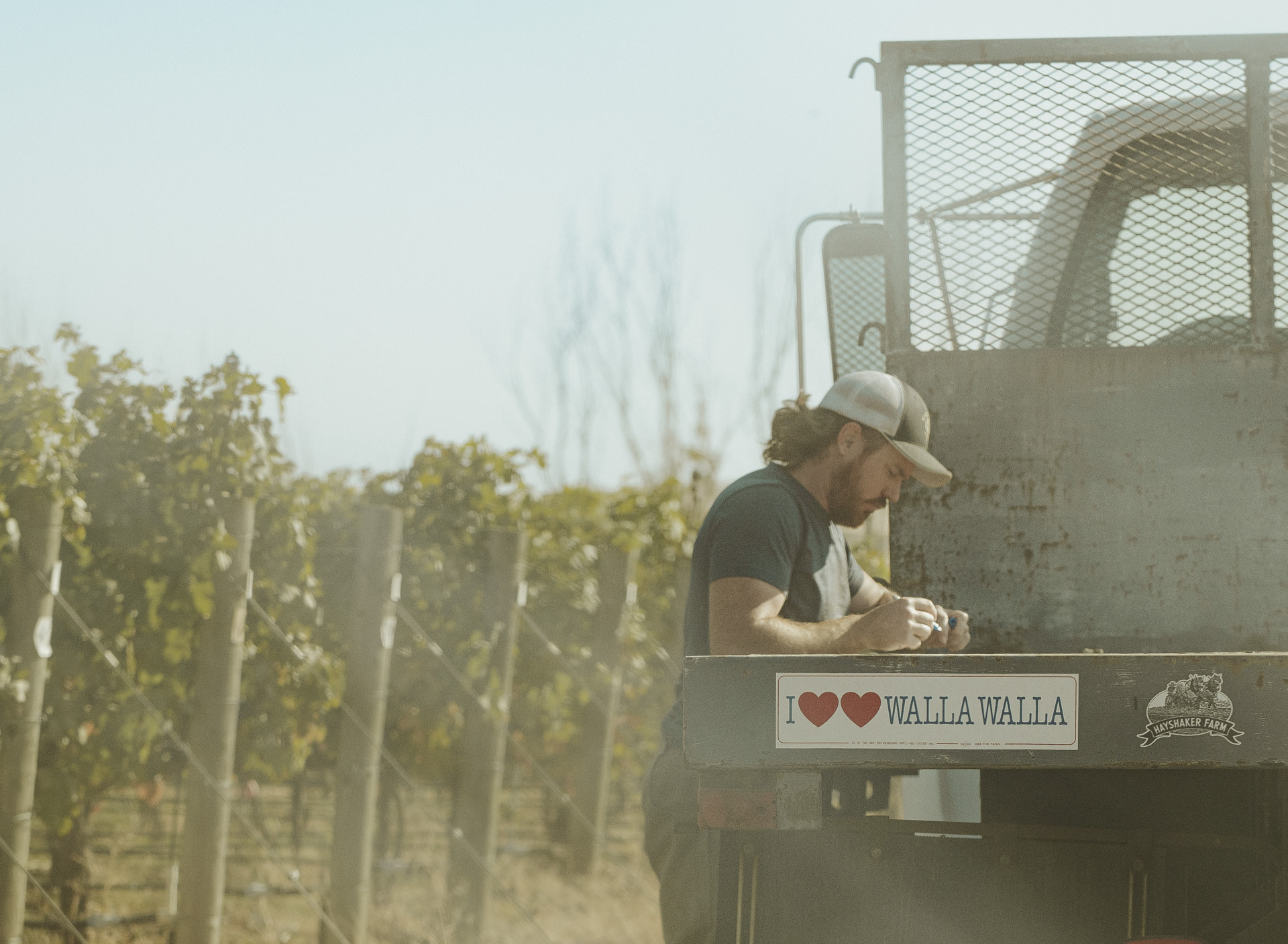 Seven Hills Winery Walla Walla Merlot 2021 | Wine.com