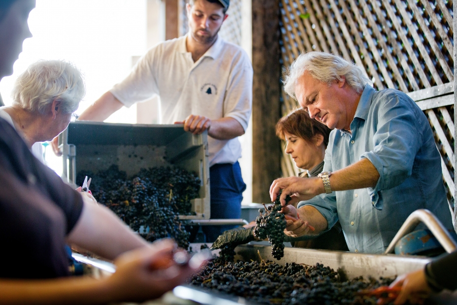 Chateau Angelus 2017 | Wine.com