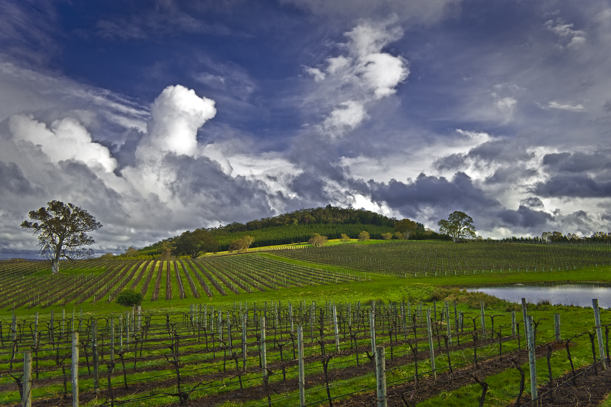 Barossa Valley